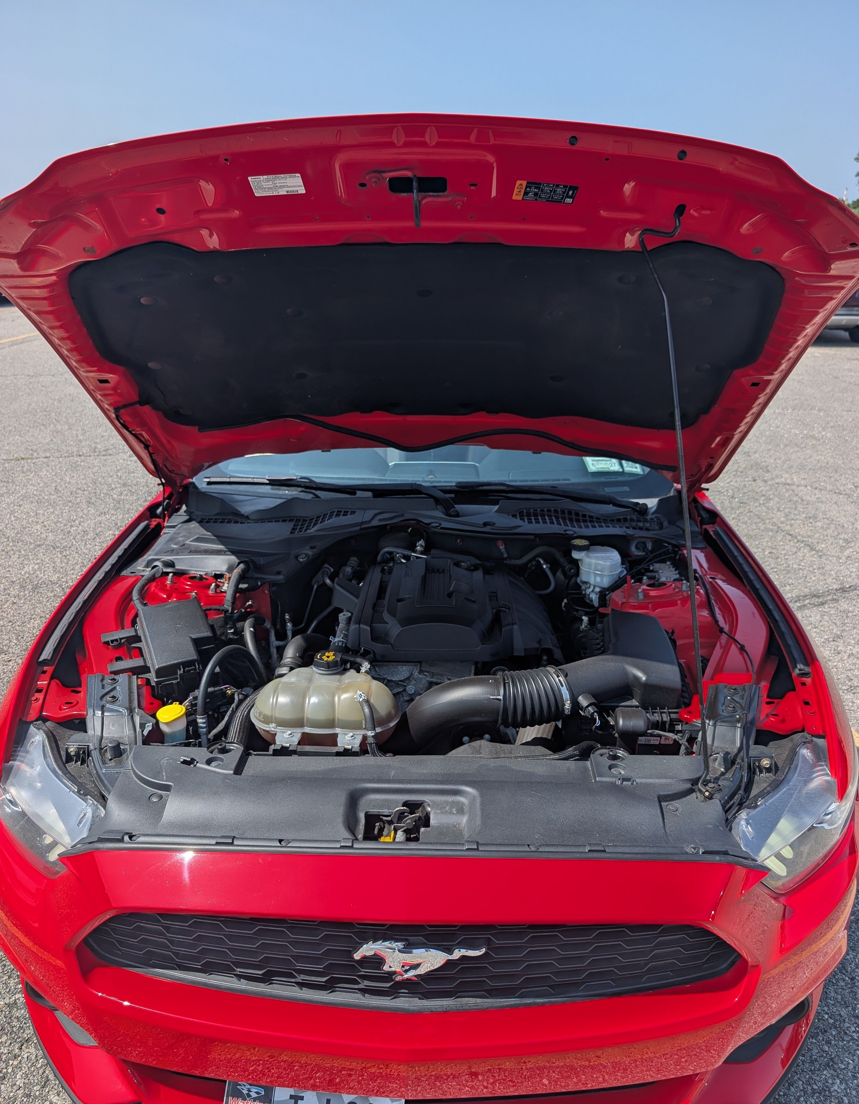 Used 2017 Ford Mustang Premium RWD image 24