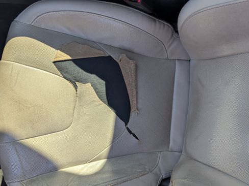 Used 2016 Ford Fusion Energi Titanium image 10