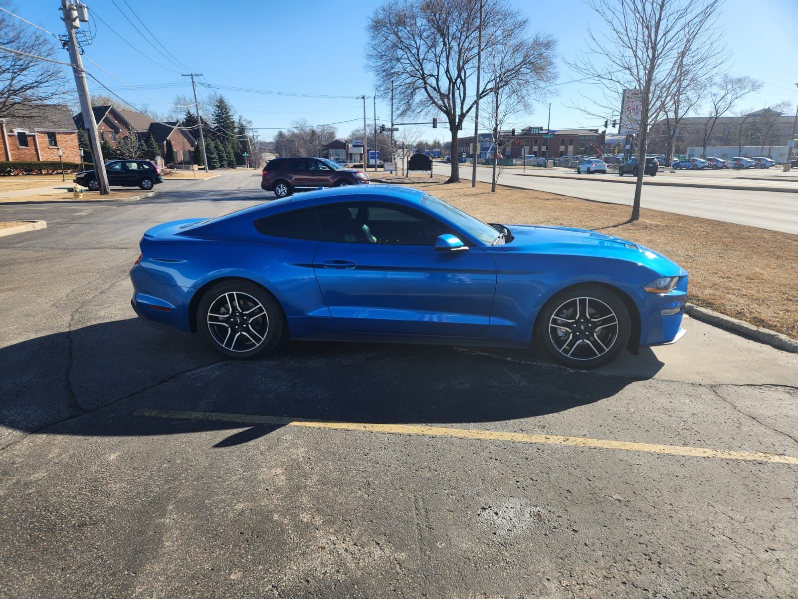Used 2019 Ford Mustang Premium RWD image 1