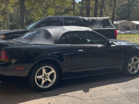 Used 2001 Ford Mustang Cobra image 5