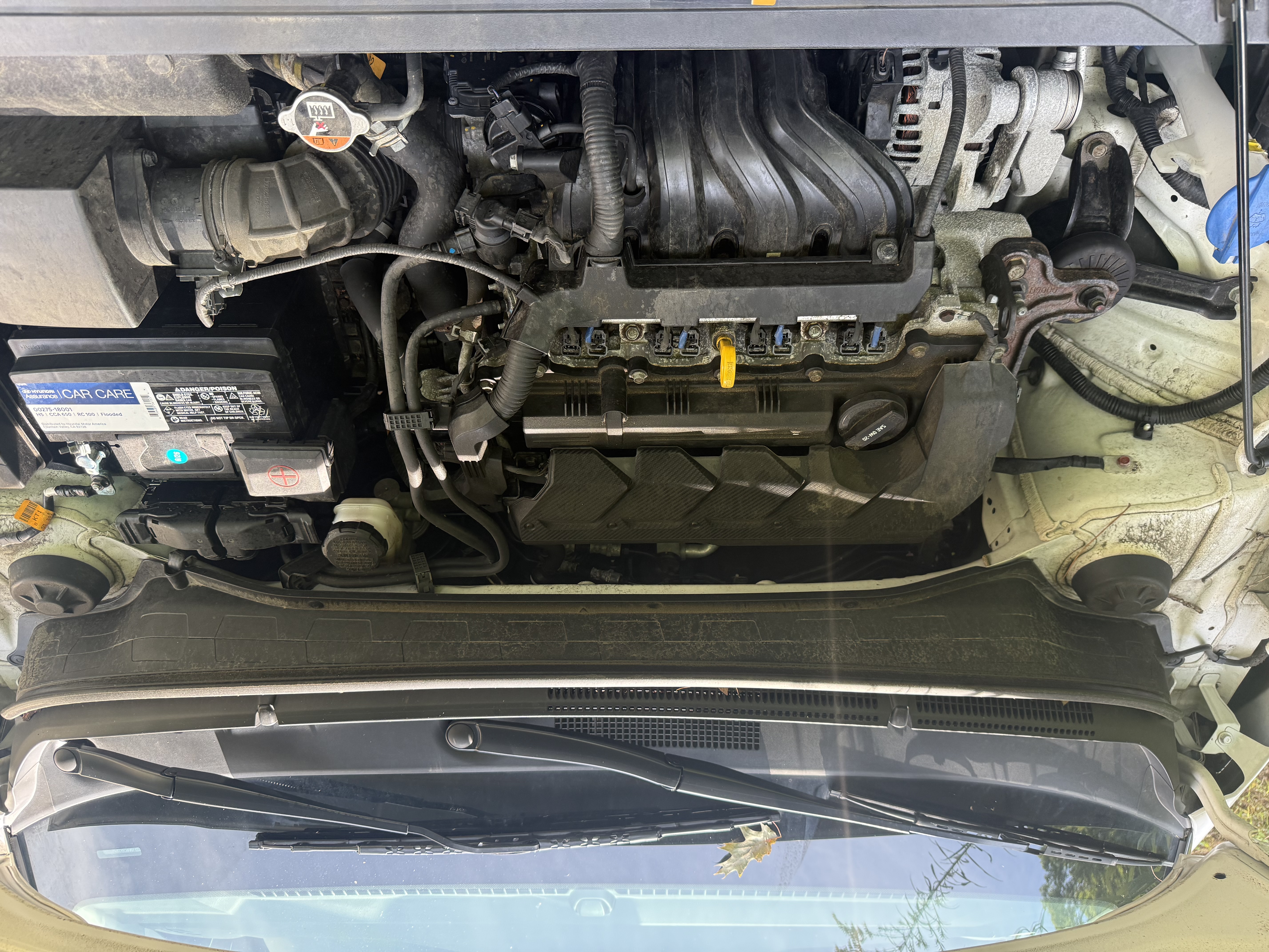 Used 2023 Hyundai Venue SEL w/ Cargo Package FWD image 13