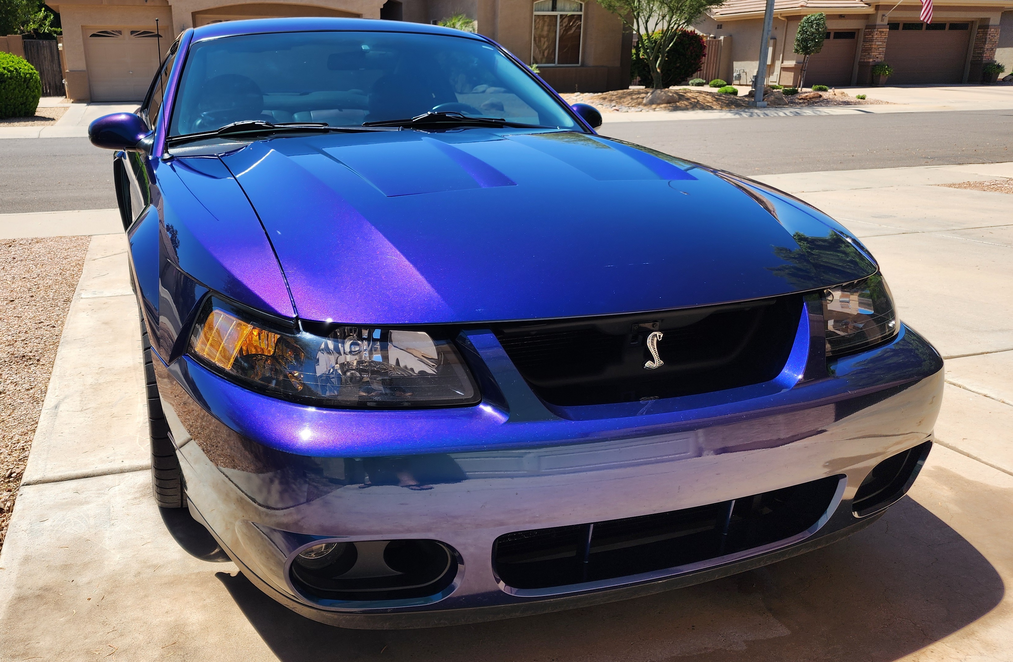 Used 2004 Ford Mustang Cobra RWD image 15