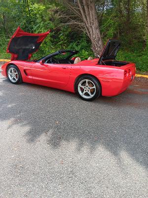 Used 2001 Chevrolet Corvette Convertible RWD image 5