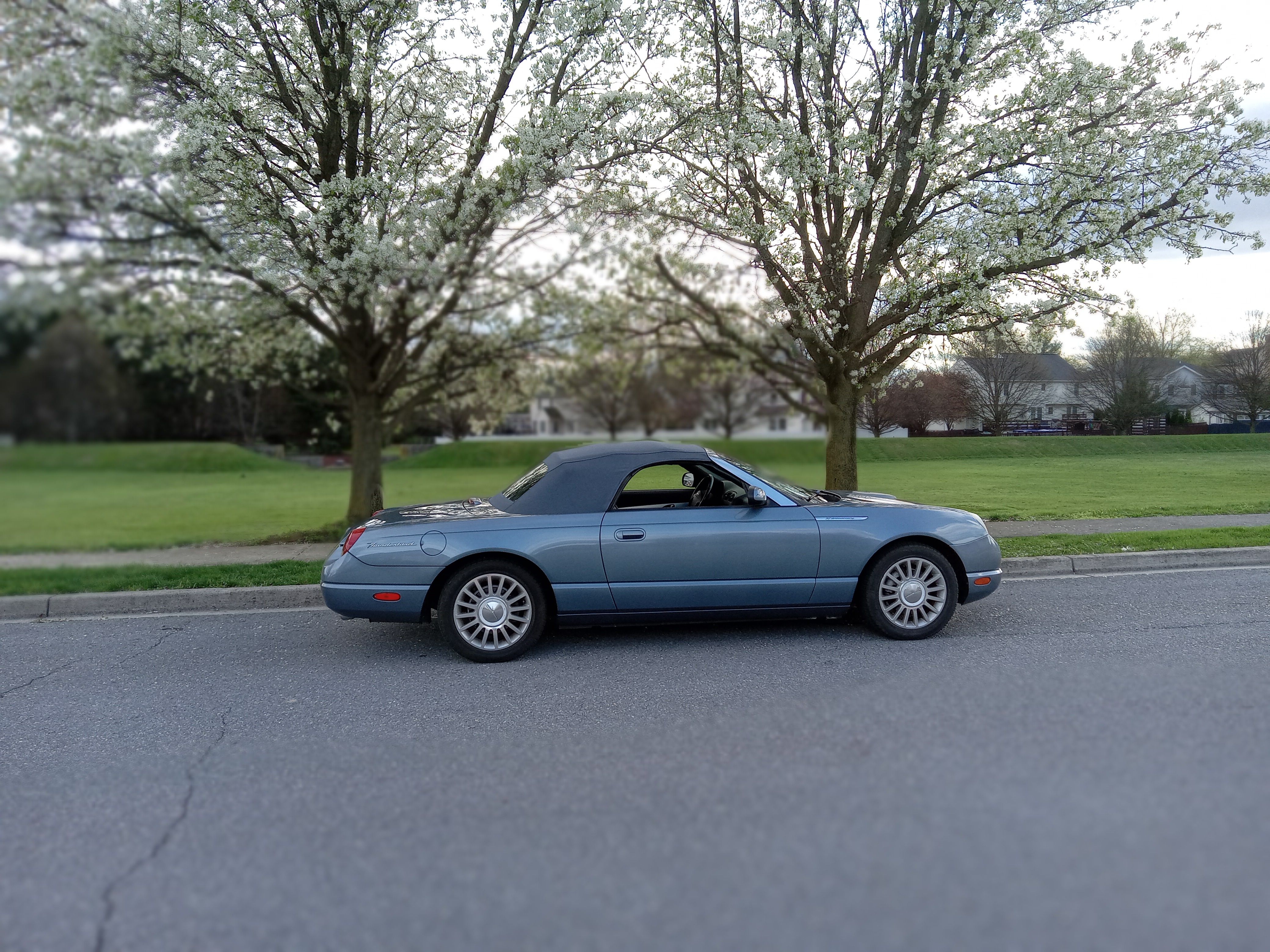 Used 2005 Ford Thunderbird RWD image 6