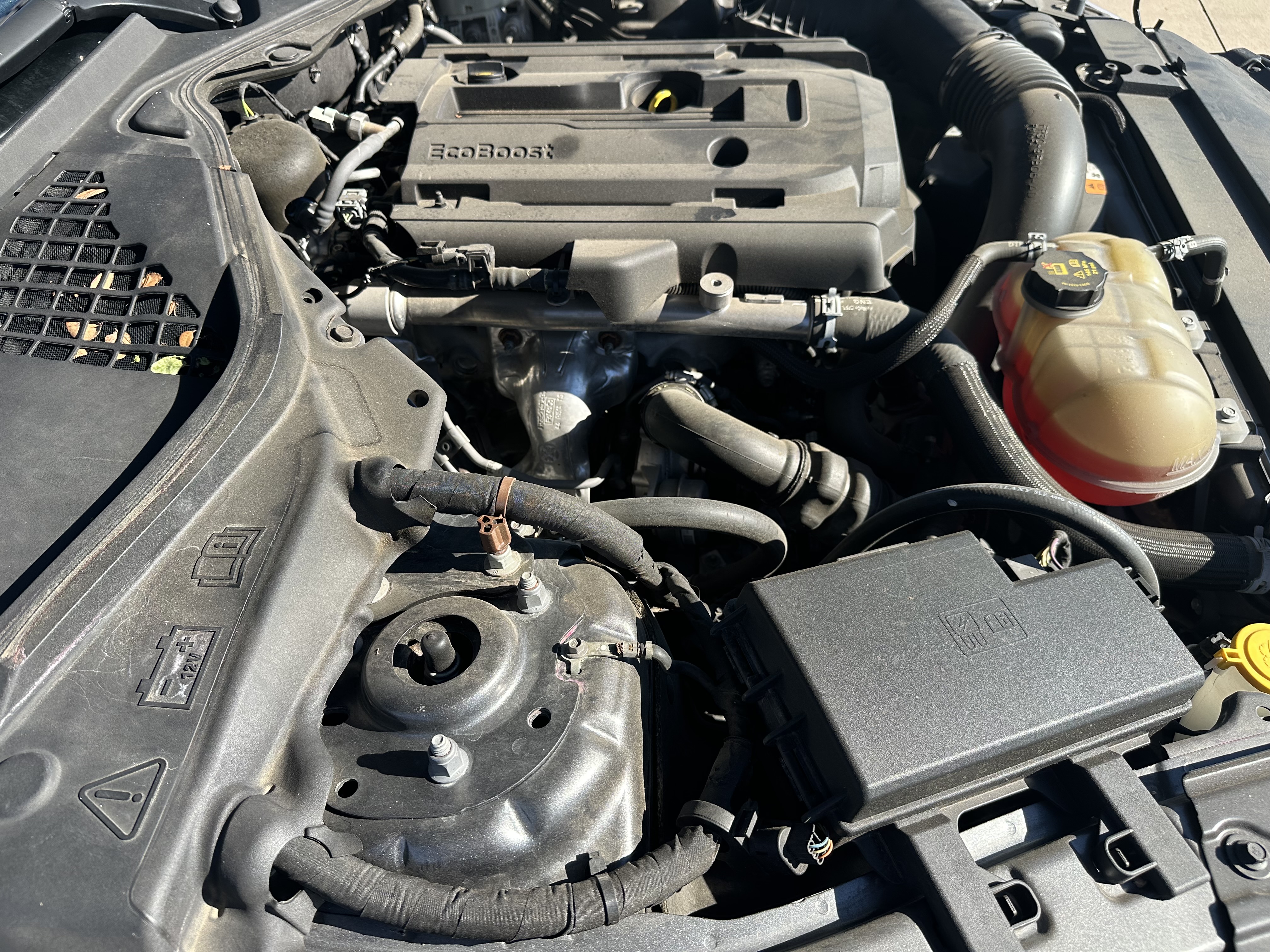 Used 2016 Ford Mustang Premium RWD image 15