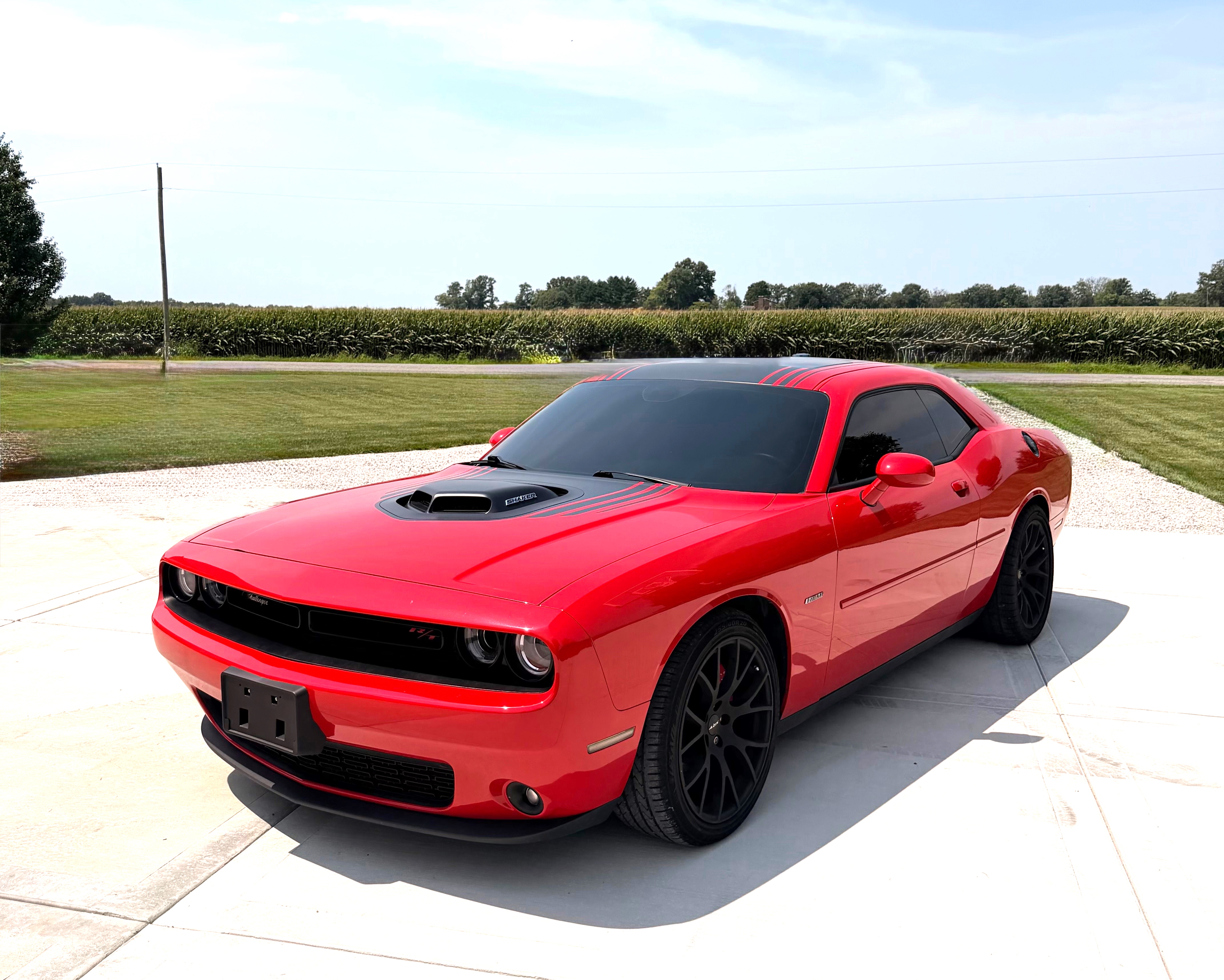 Used 2016 Dodge Challenger R/T Plus RWD image 1