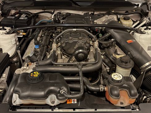 Used 2008 Ford Mustang Shelby GT500 image 5