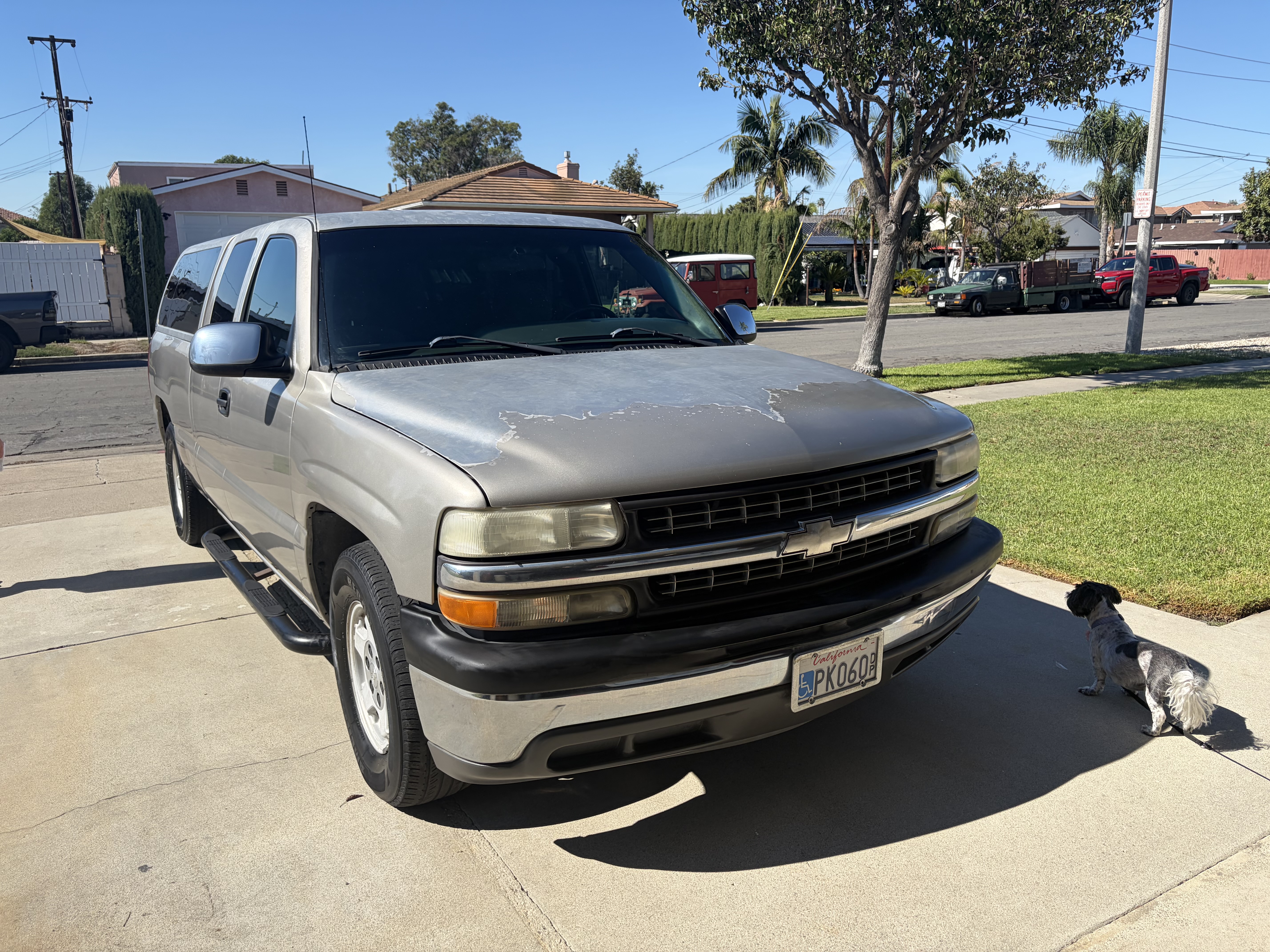 Used 2001 Chevrolet Silverado 1500 LS w/ Firm Ride Suspension Pkg RWD image 2