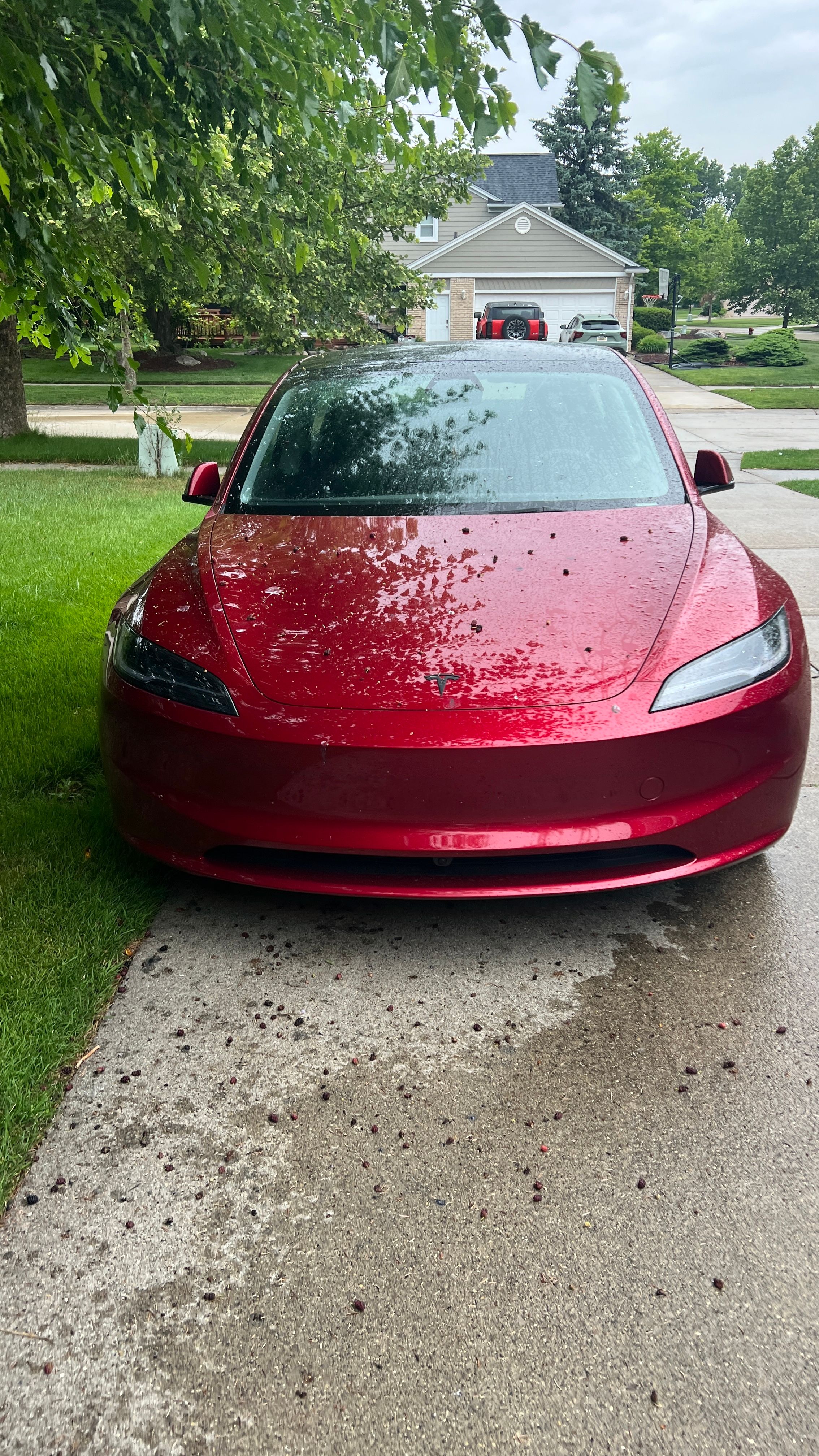 Used 2026 Tesla Model 3 RWD image 7