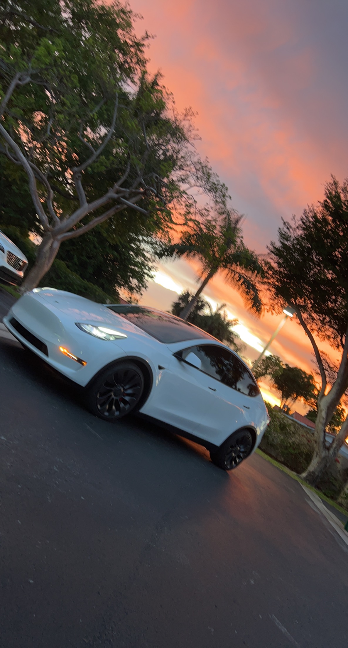 Used 2022 Tesla Model Y Performance AWD/4WD image 4