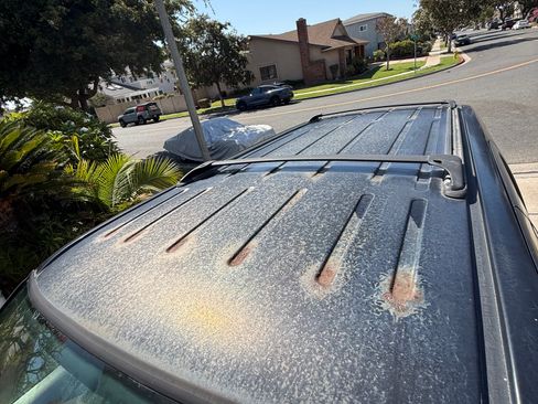 Used 2003 Ford Expedition Eddie Bauer RWD image 9