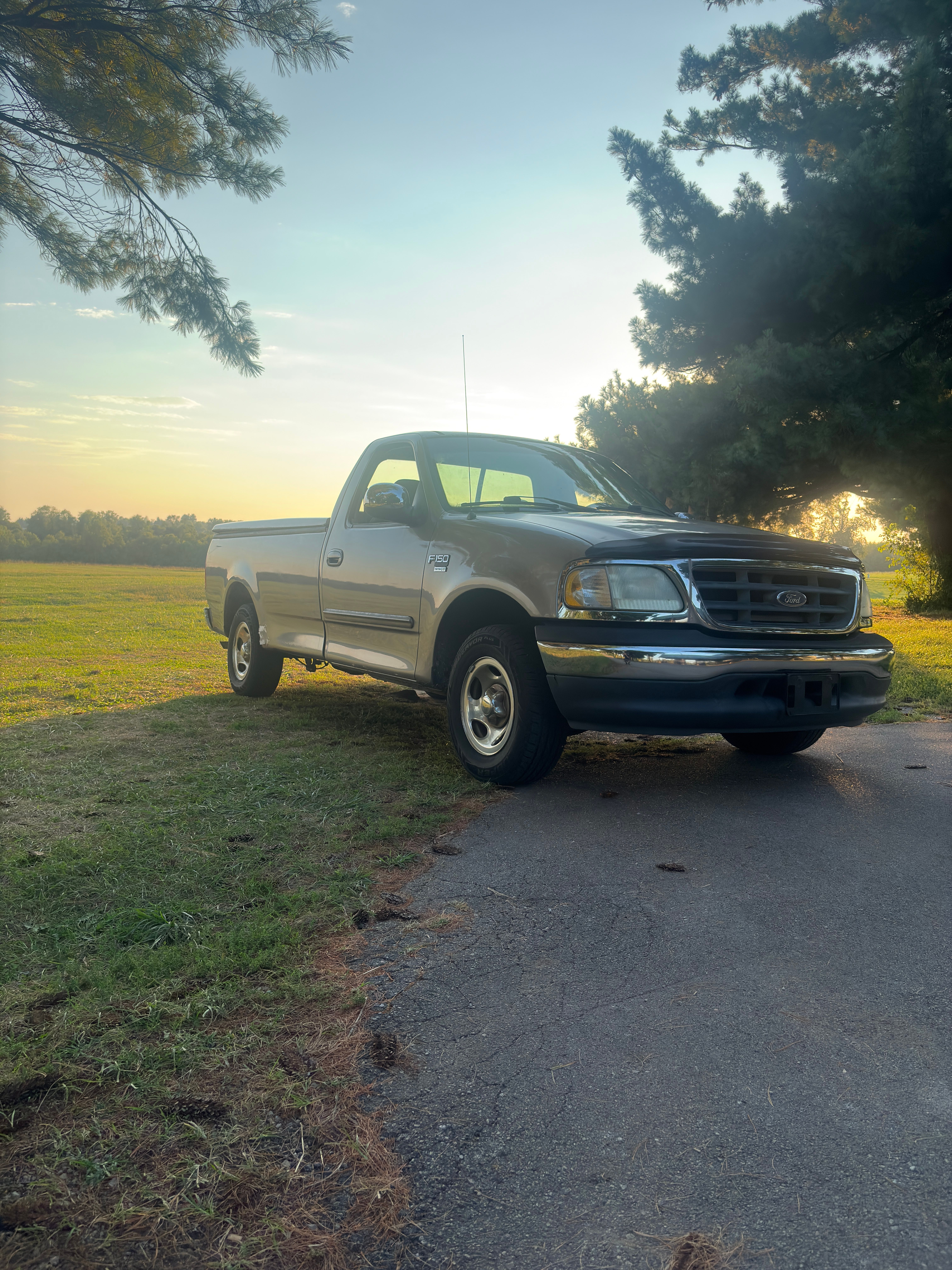 Used 2001 Ford F150 2WD Regular Cab image 5