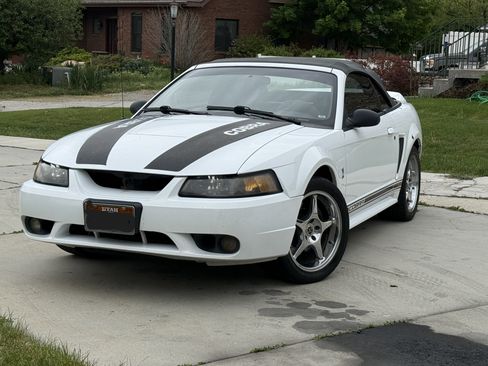 Used 1999 Ford Mustang Cobra RWD image 8