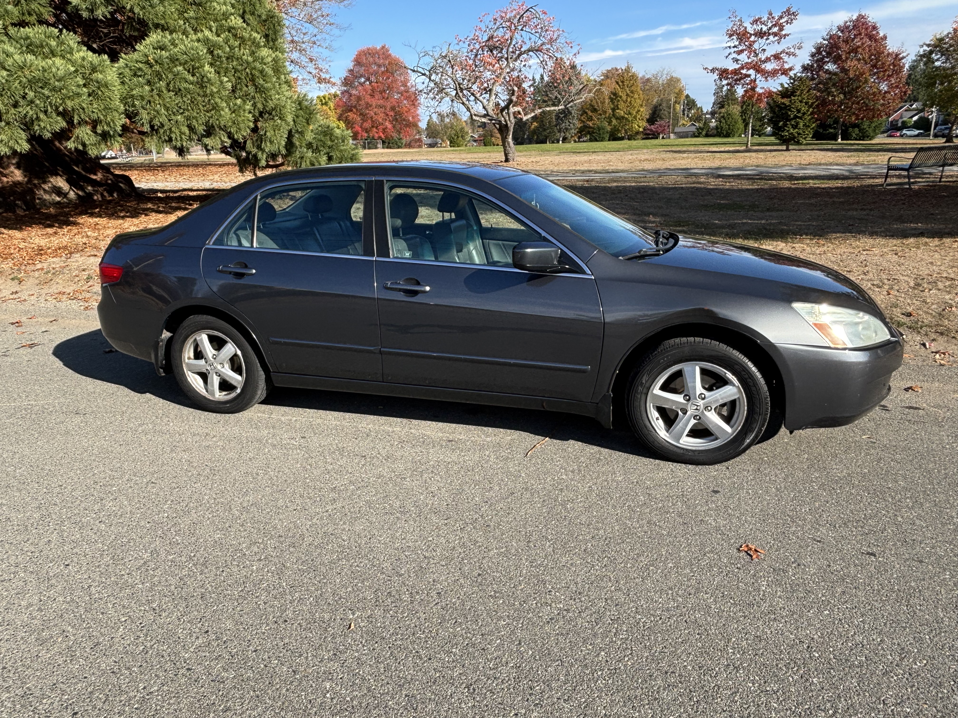 Used 2005 Honda Accord EX-L image 8