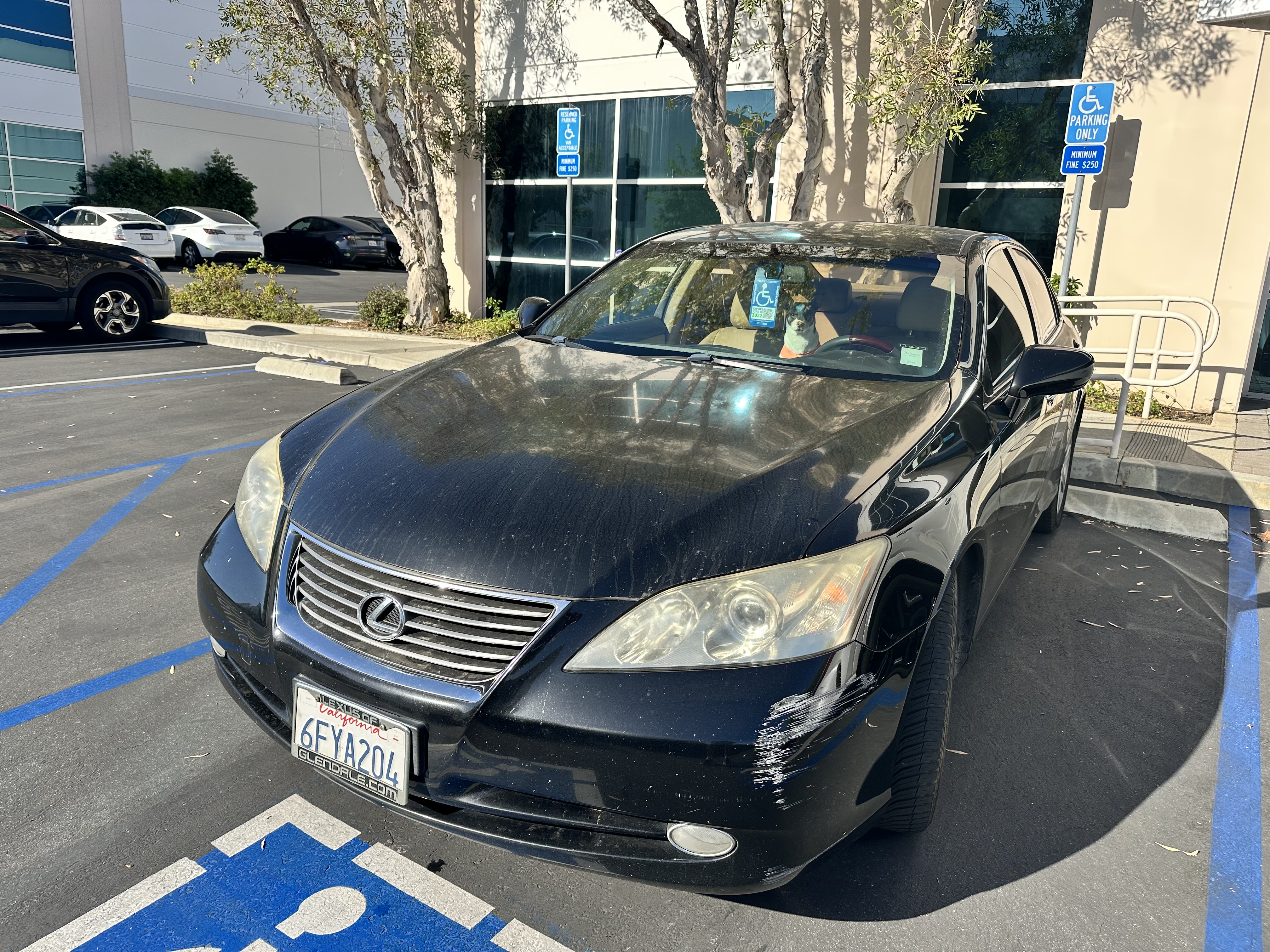 Used 2008 Lexus ES 350 w/ Premium Pkg FWD image 1