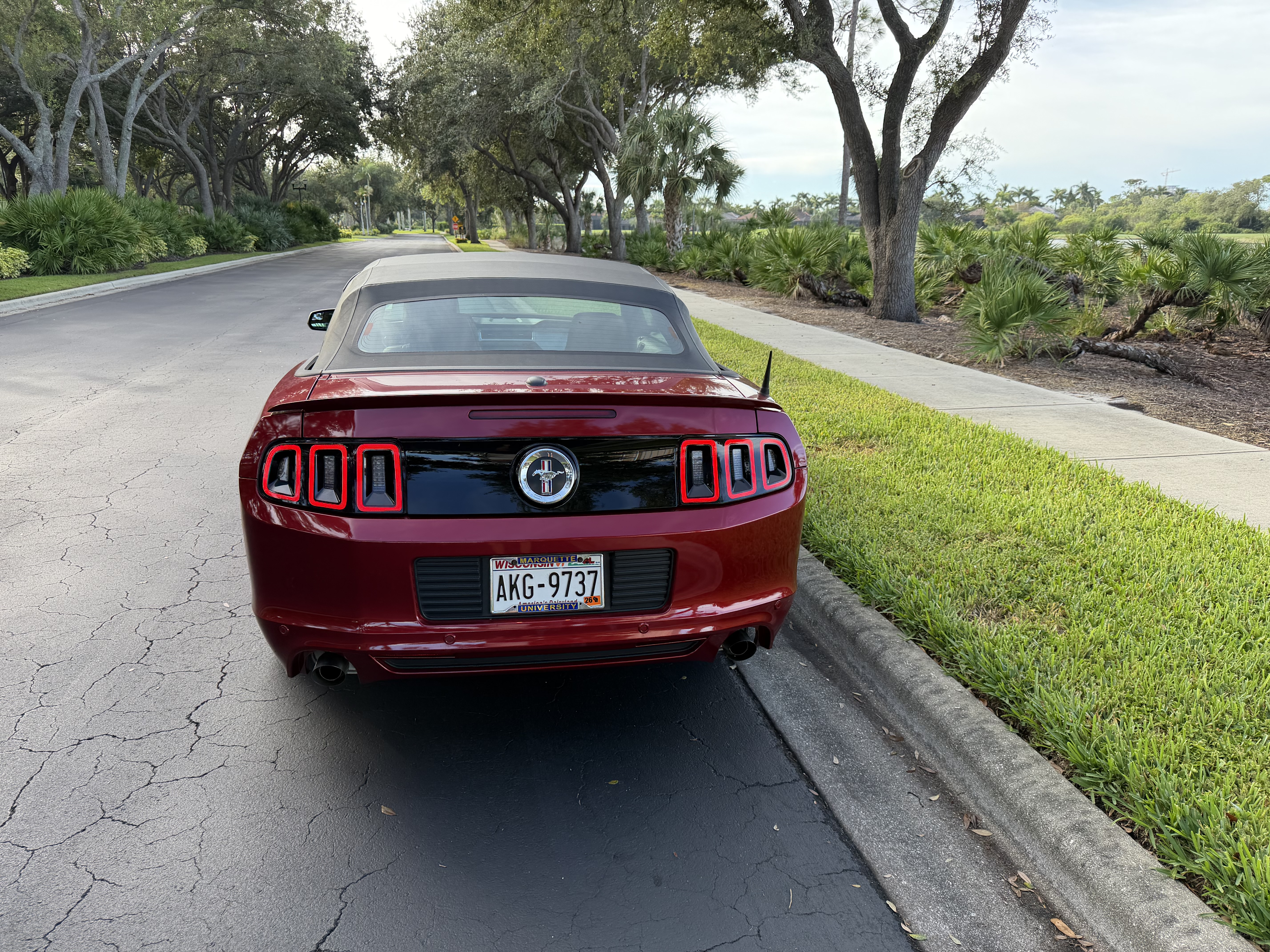 Used 2014 Ford Mustang Premium w/ Equipment Group 202A RWD image 5