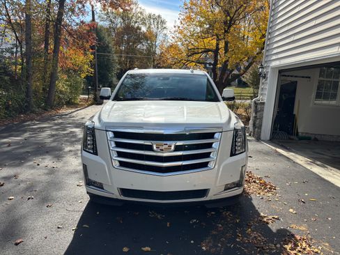 Used 2019 Cadillac Escalade Luxury image 2