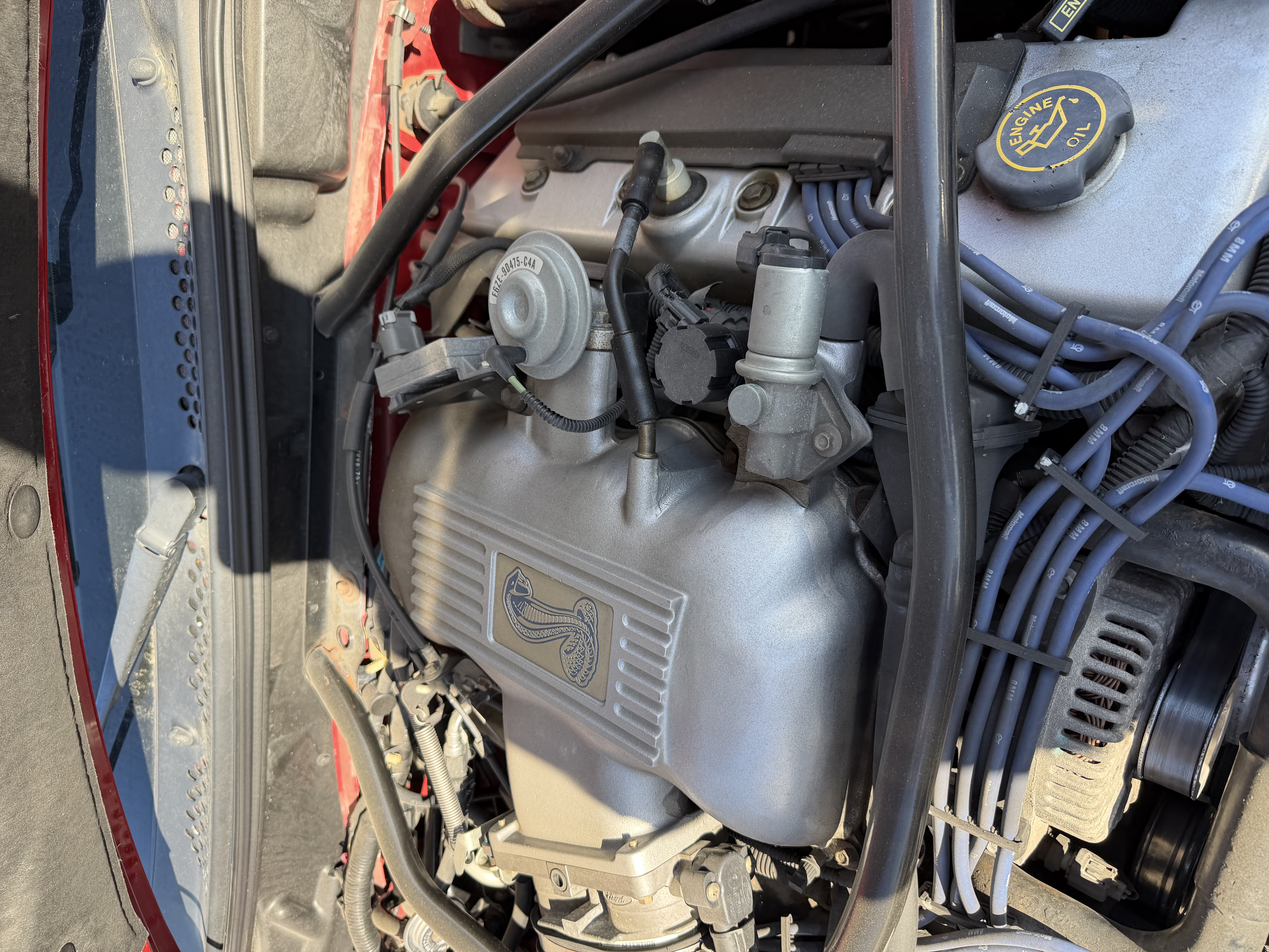 Used 1997 Ford Mustang Cobra RWD image 19