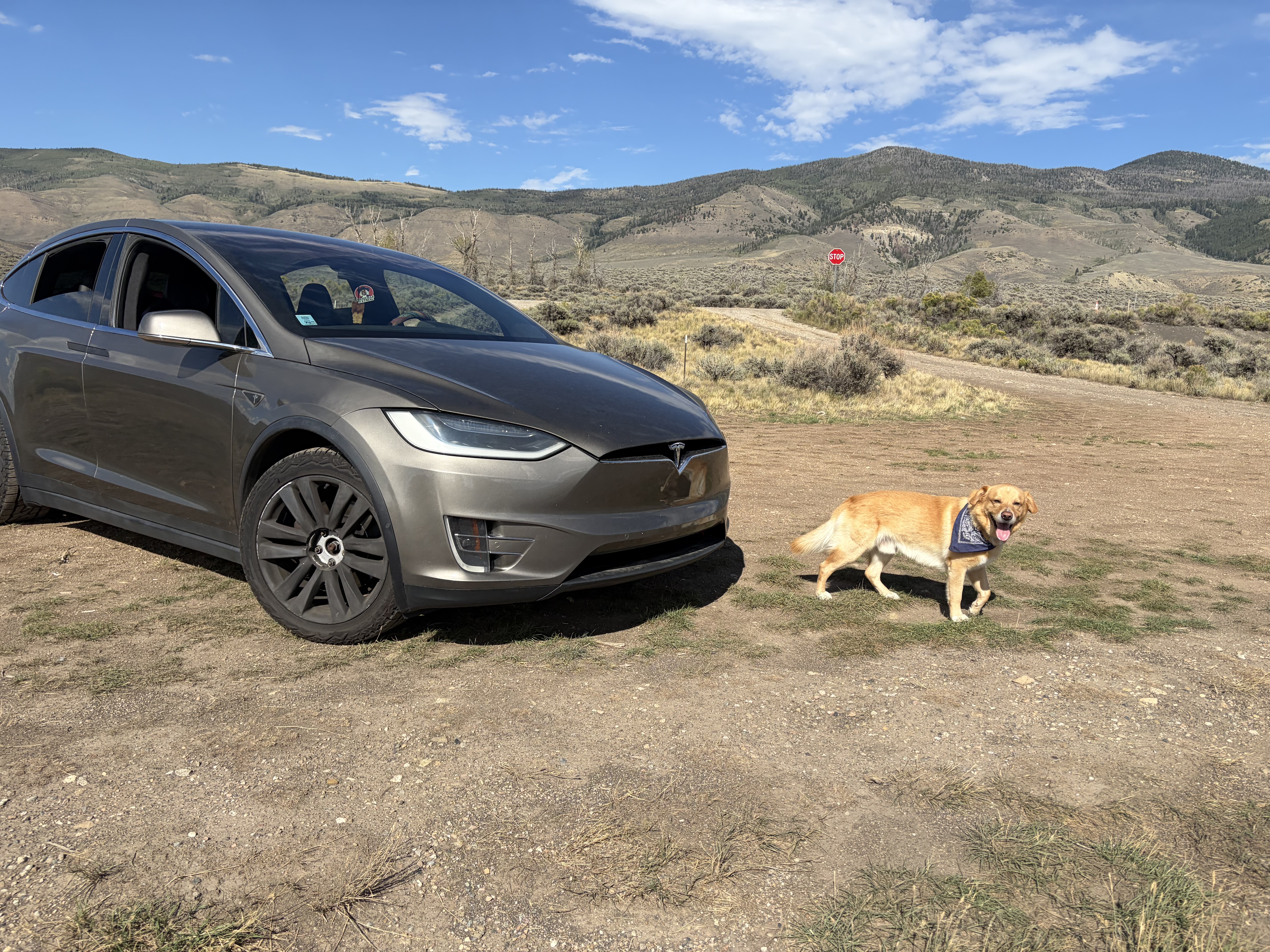 Used 2016 Tesla Model X Performance AWD/4WD image 1