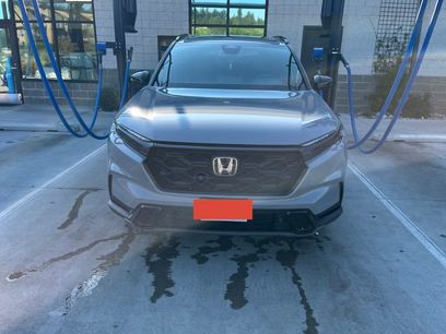 Used 2025 Honda CR-V Sport-L