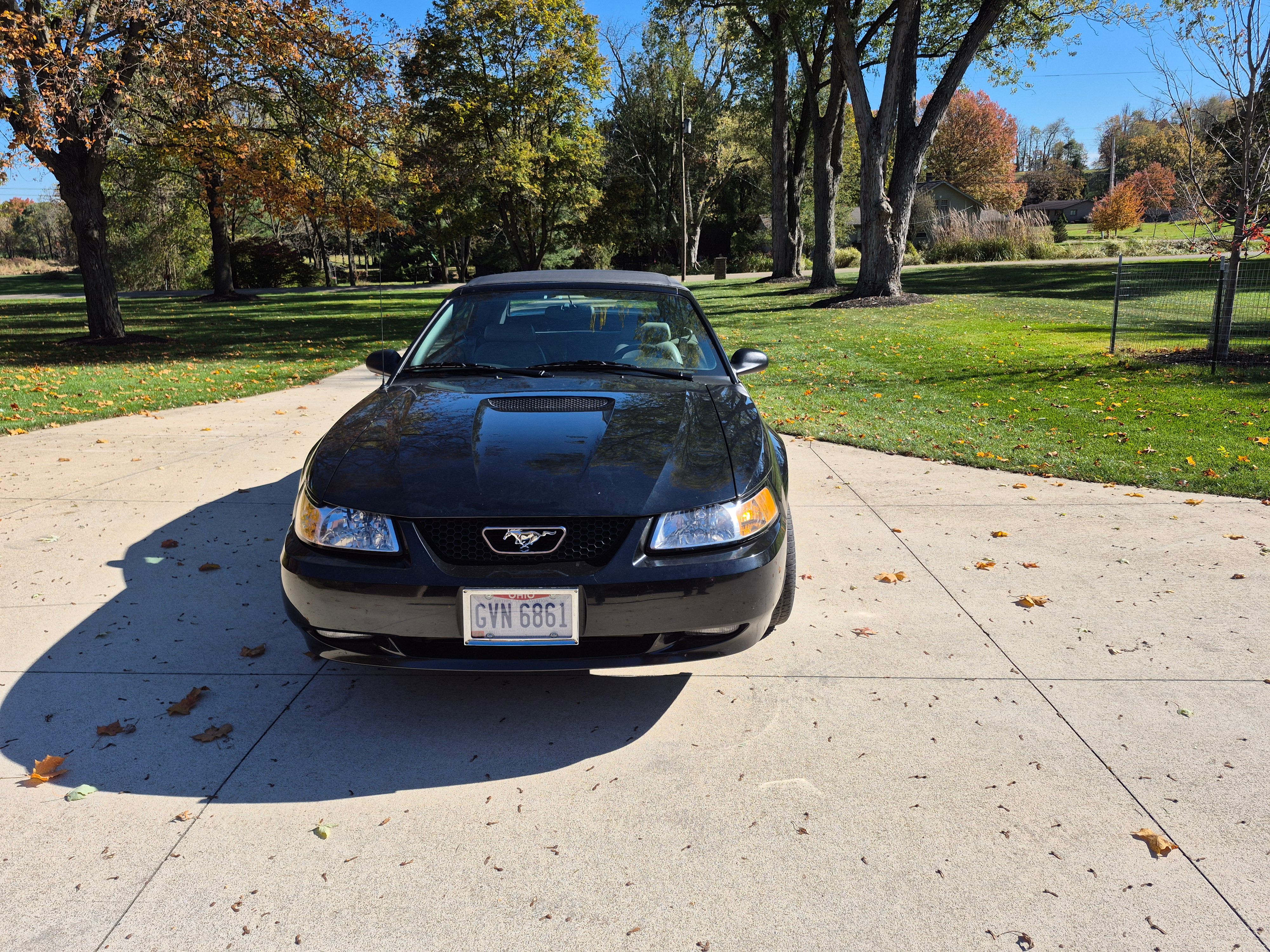 Used 1999 Ford Mustang GT RWD image 2