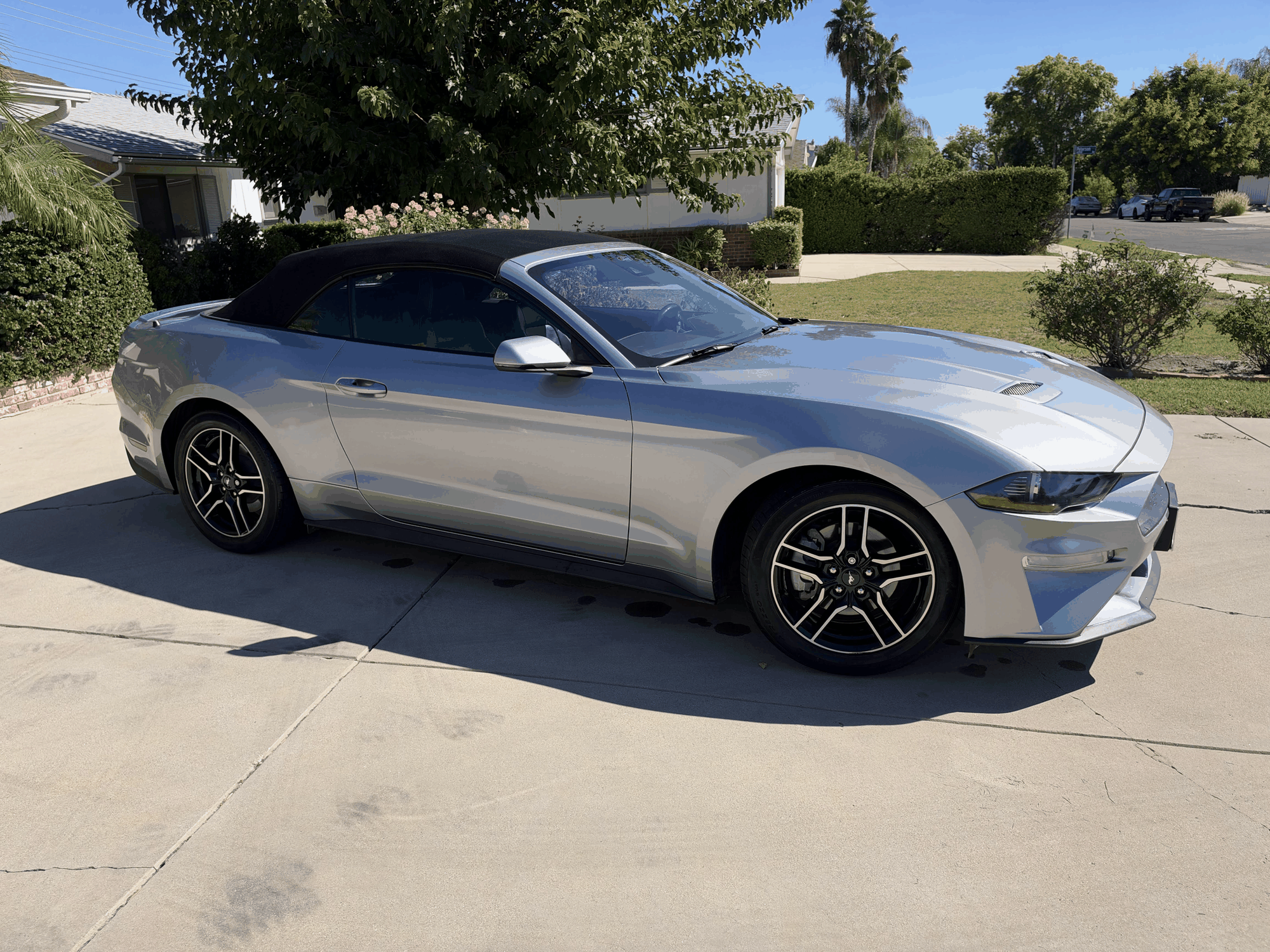 Used 2023 Ford Mustang Premium w/ Equipment Group 201A RWD image 5