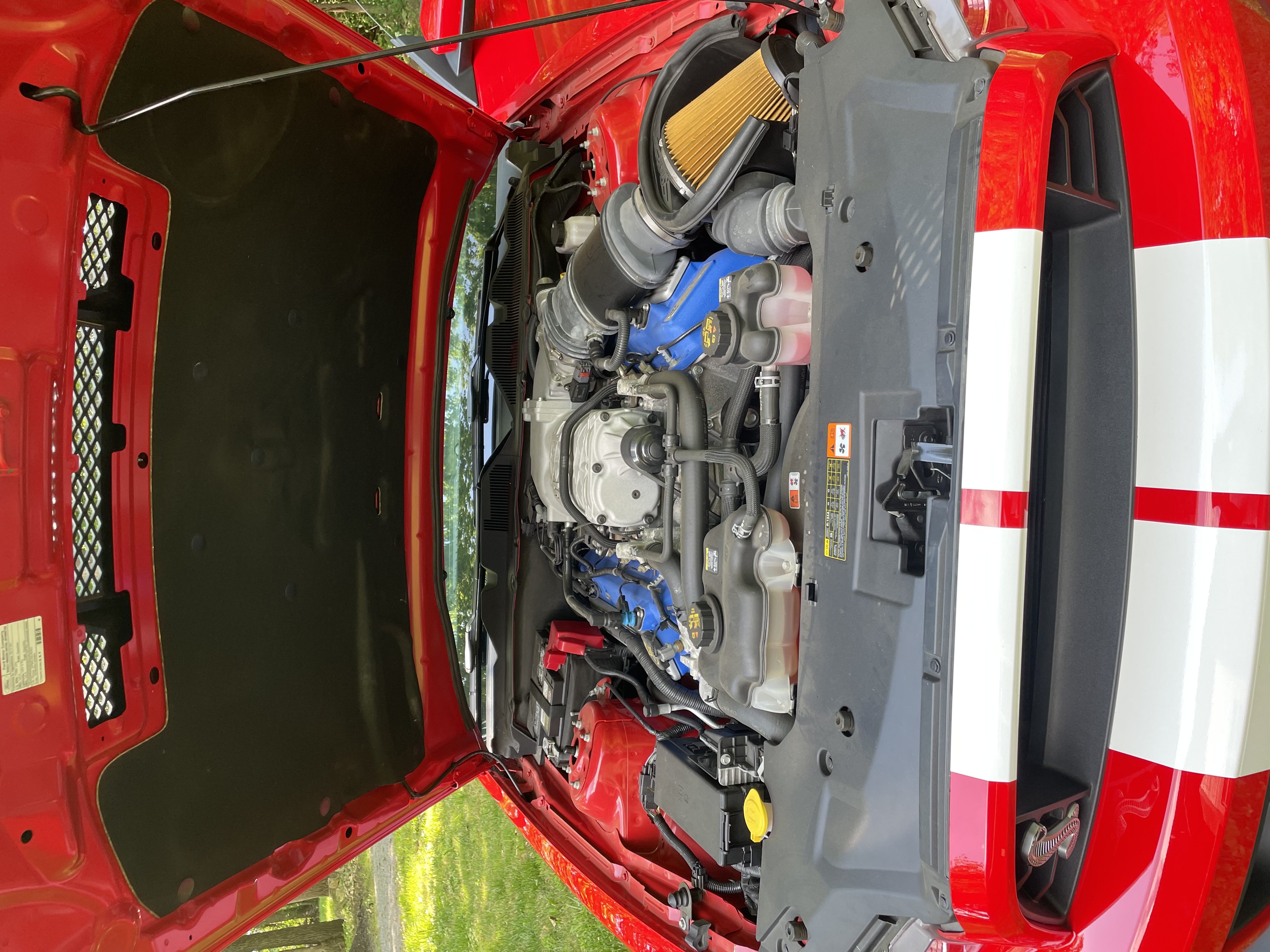 Used 2013 Ford Mustang Shelby GT500 RWD image 5