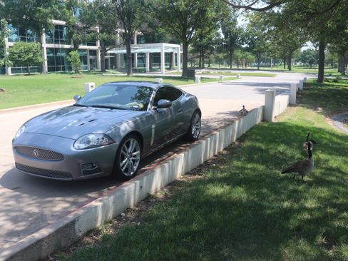 Used 2008 Jaguar XKR R image 11