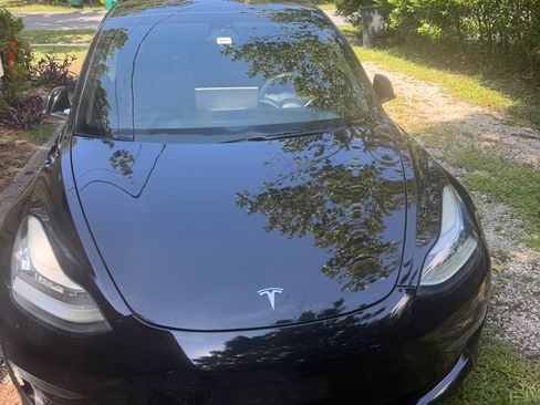 Used 2019 Tesla Model 3 Long Range AWD/4WD image 1