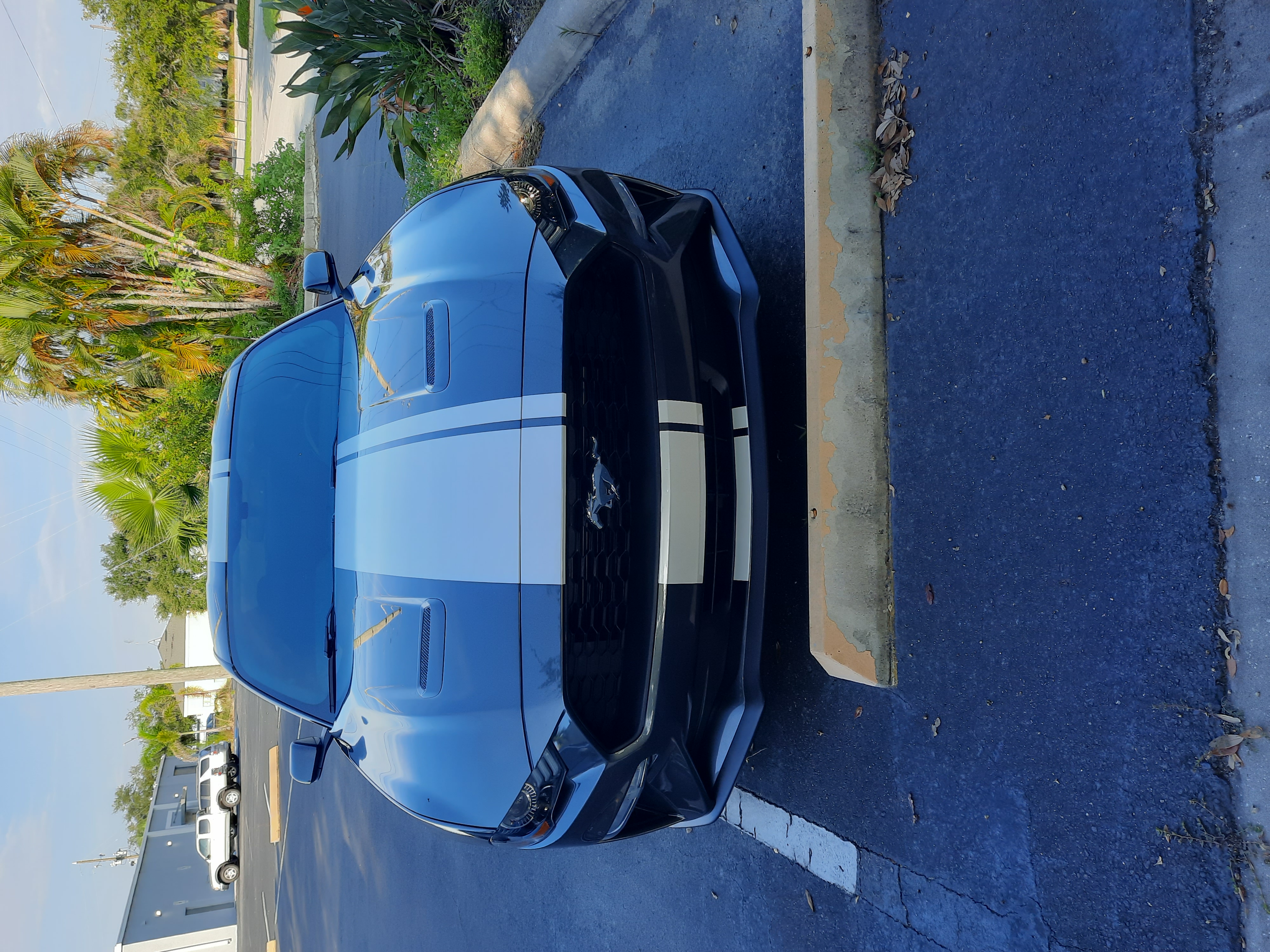 Used 2019 Ford Mustang Coupe RWD image 1