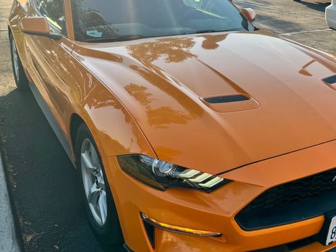 Used 2019 Ford Mustang Coupe RWD image 2