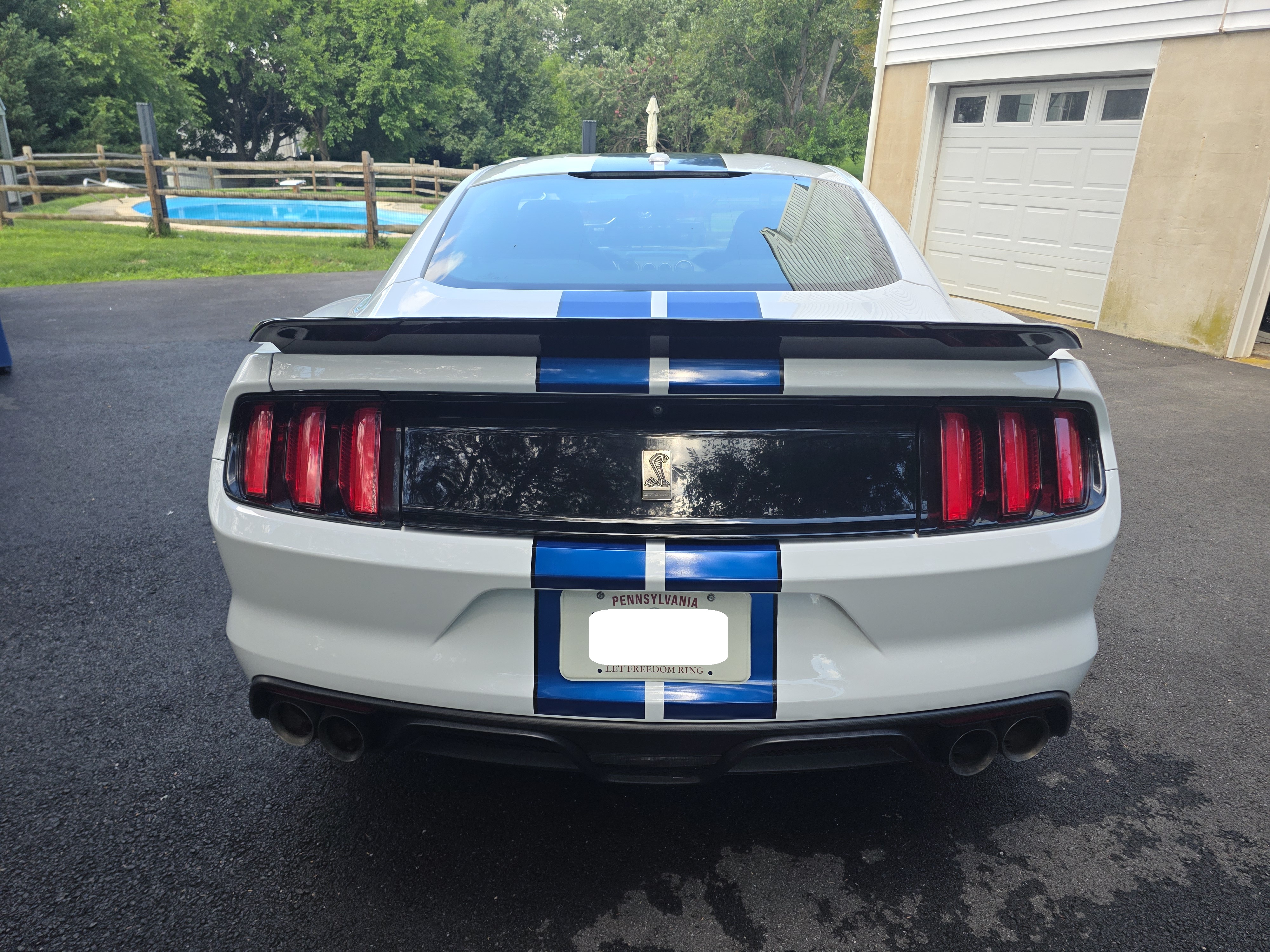 Used 2018 Ford Mustang Shelby GT350 w/ Electronics Package RWD image 6