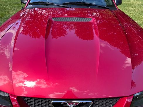 Used 2001 Ford Mustang Coupe RWD image 6