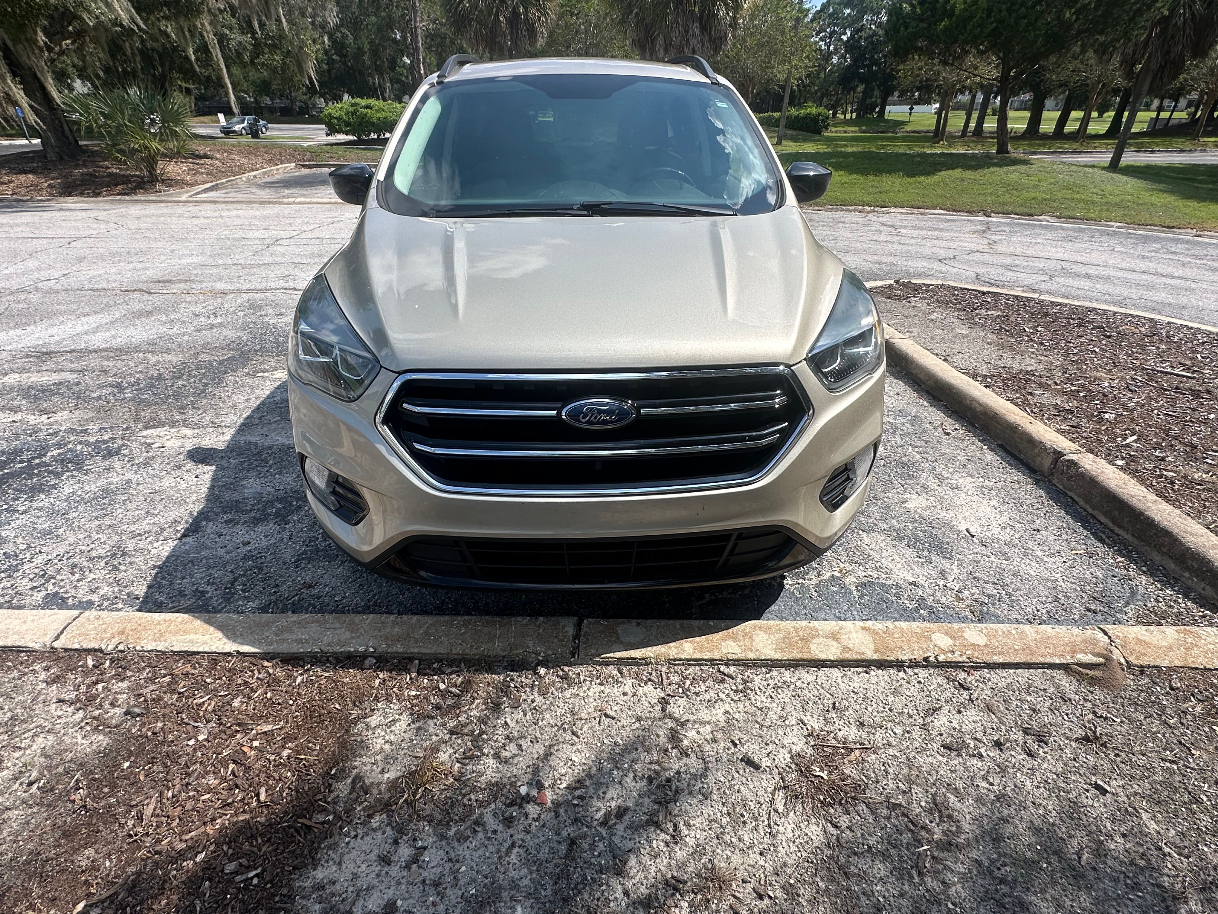 Used 2017 Ford Escape SE w/ SE Sport Appearance Package FWD image 10