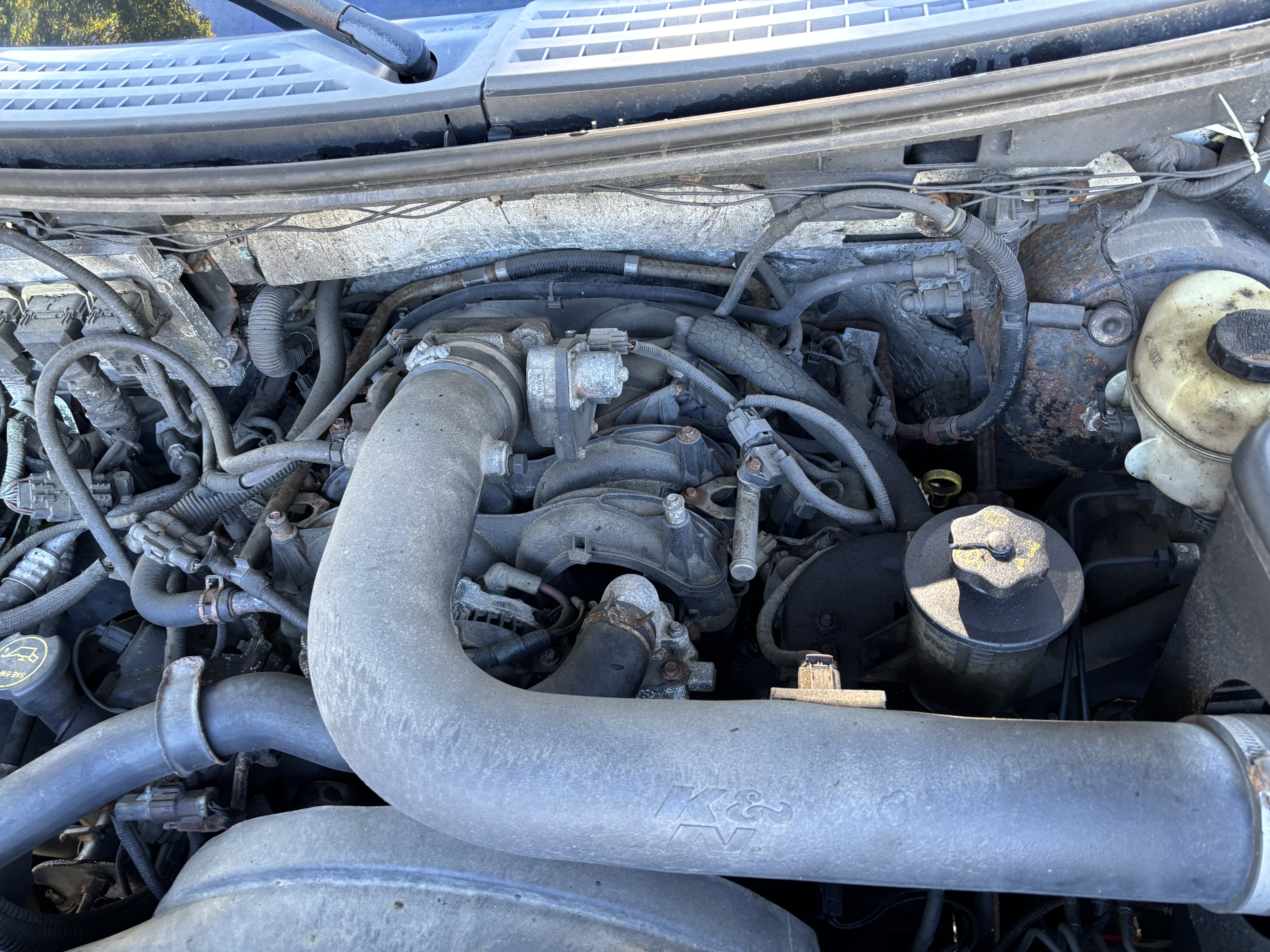 Used 2007 Ford F150 XLT AWD/4WD image 11