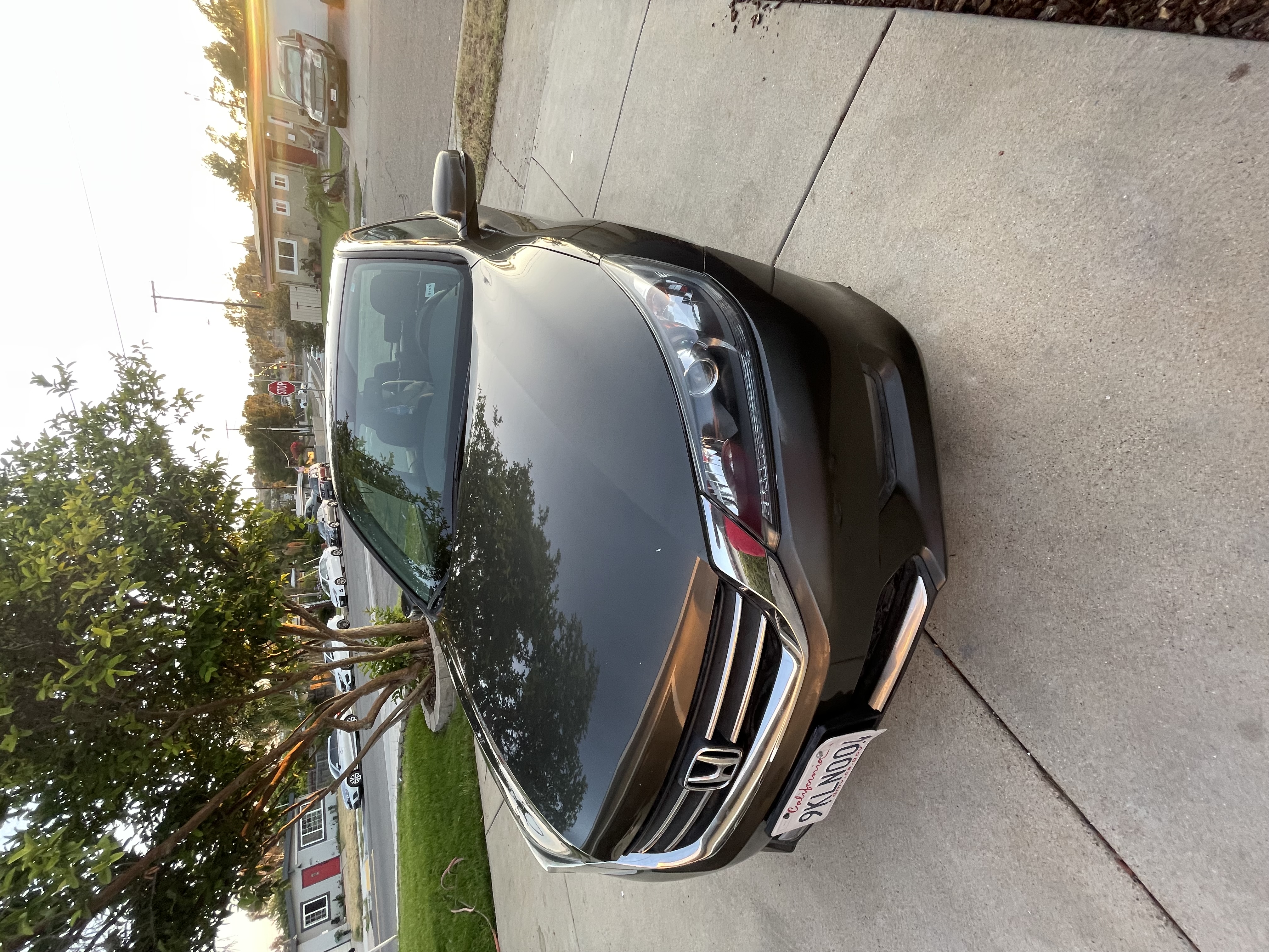 Used 2014 Honda Accord EX-L image 4