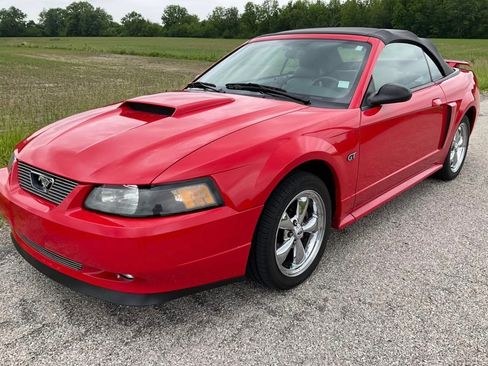 Used 2003 Ford Mustang GT RWD image 4