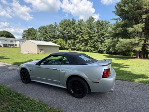 Used 2001 Ford Mustang GT Premium RWD image 10