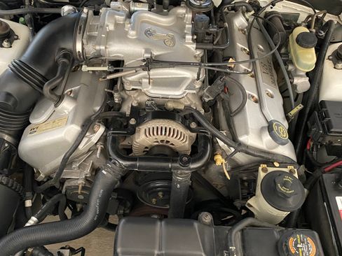 Used 1999 Ford Mustang Cobra RWD image 17