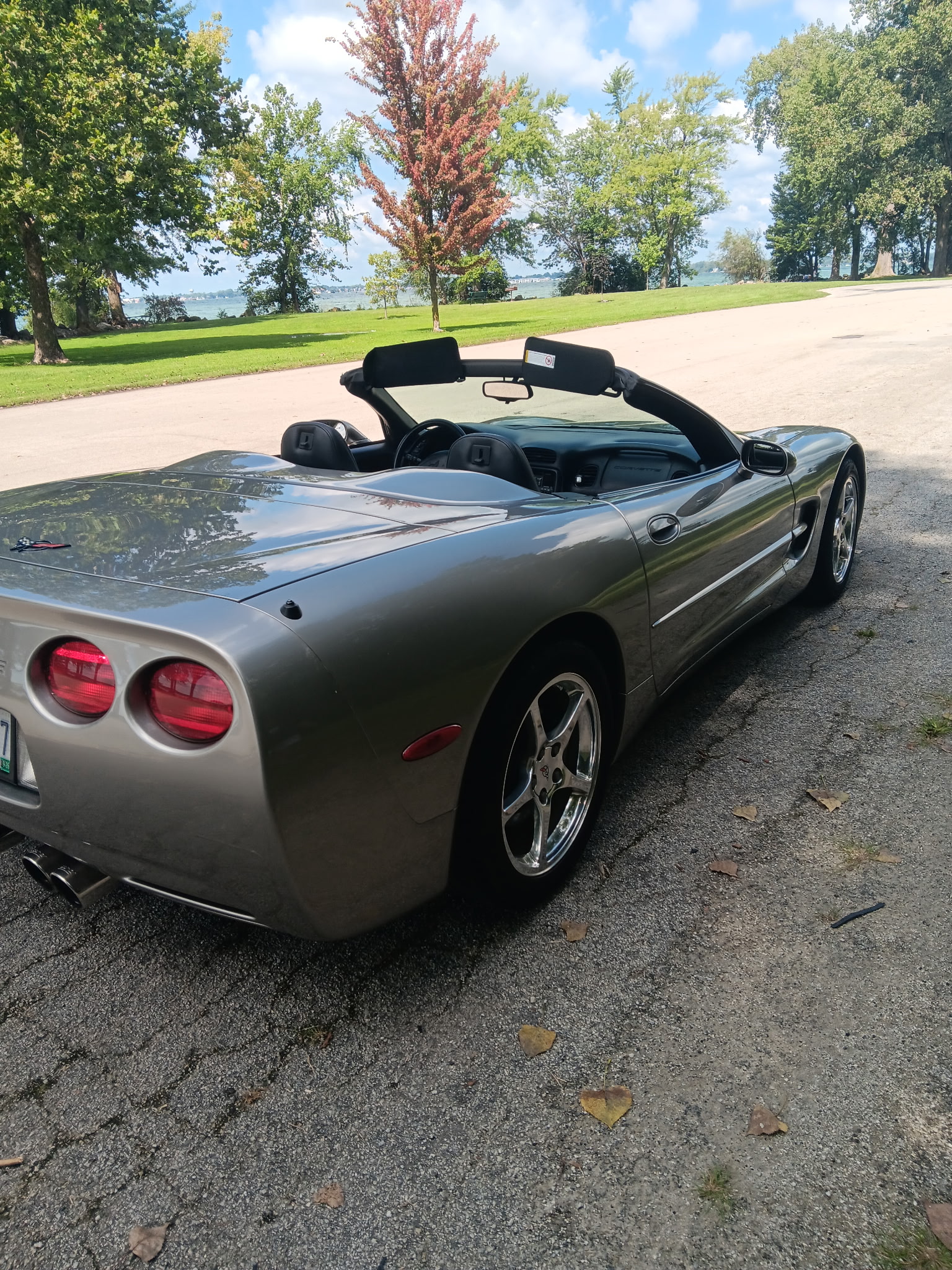 Used 2000 Chevrolet Corvette Convertible w/ Memory Pkg RWD image 6
