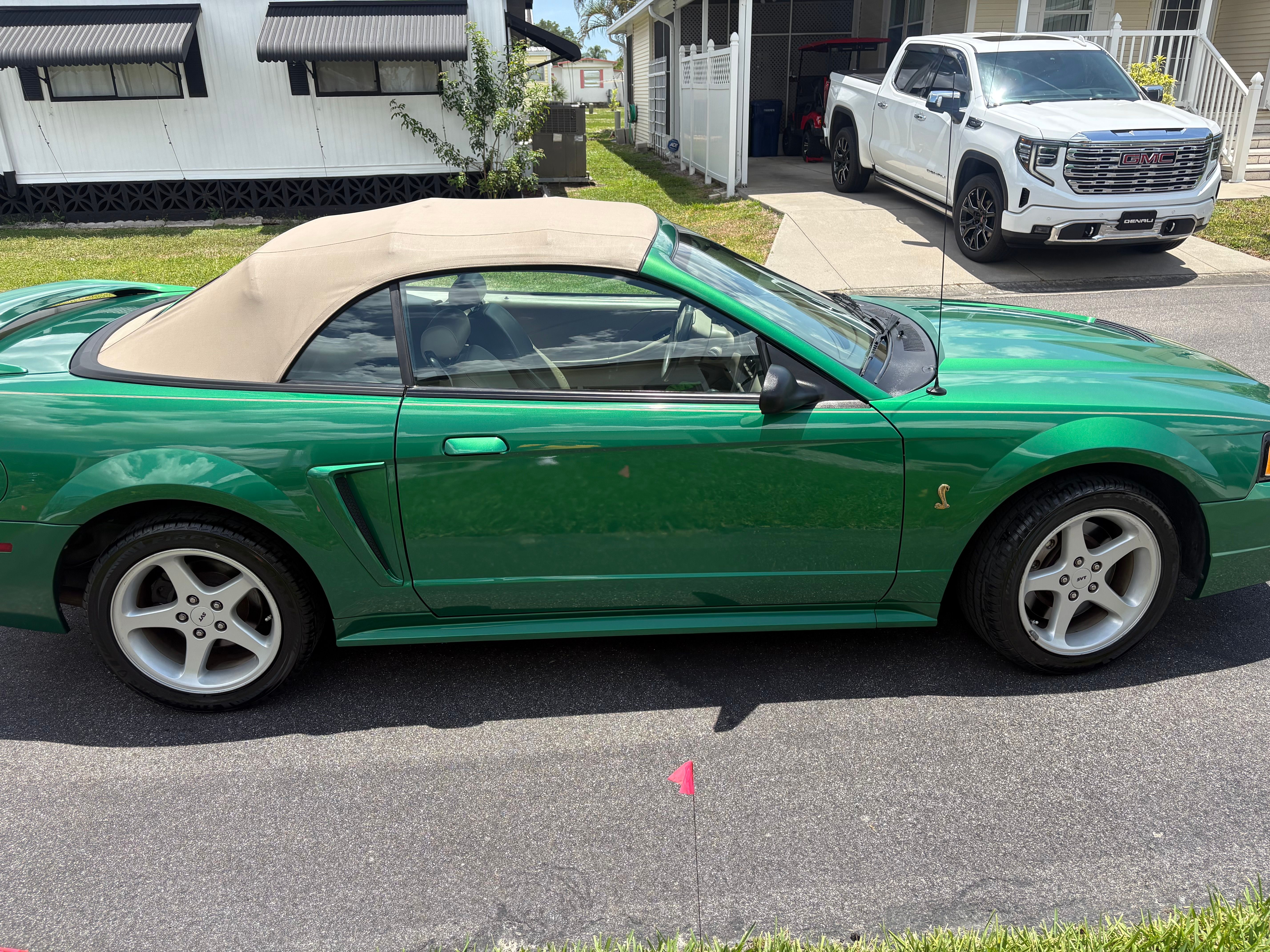 Used 1999 Ford Mustang Cobra RWD image 11