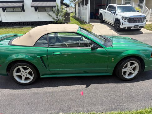 Used 1999 Ford Mustang Cobra RWD image 11