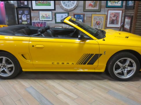 Used 1998 Ford Mustang Cobra image 4