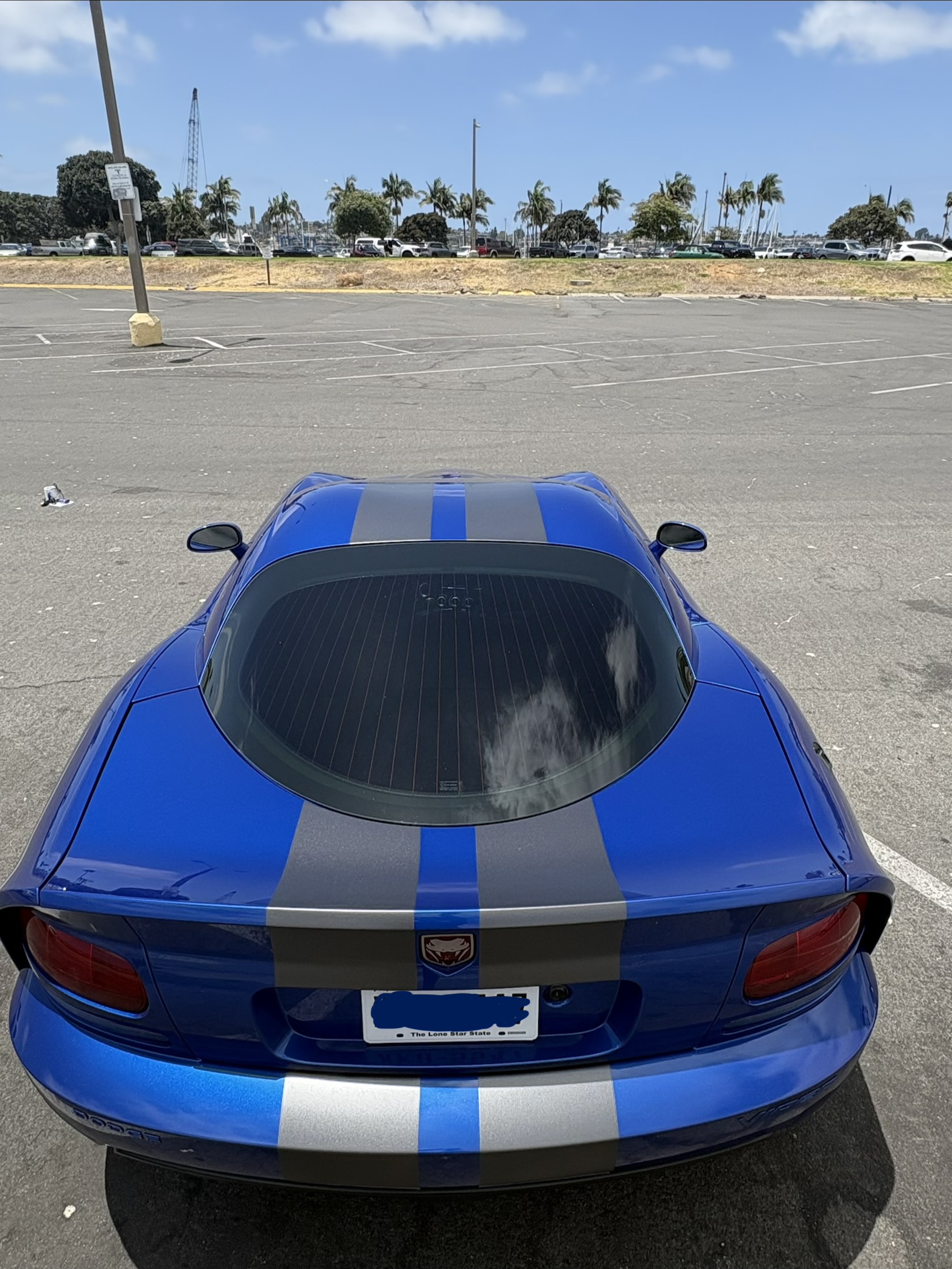 Used 2006 Dodge Viper SRT-10 w/ First Edition Group RWD image 5