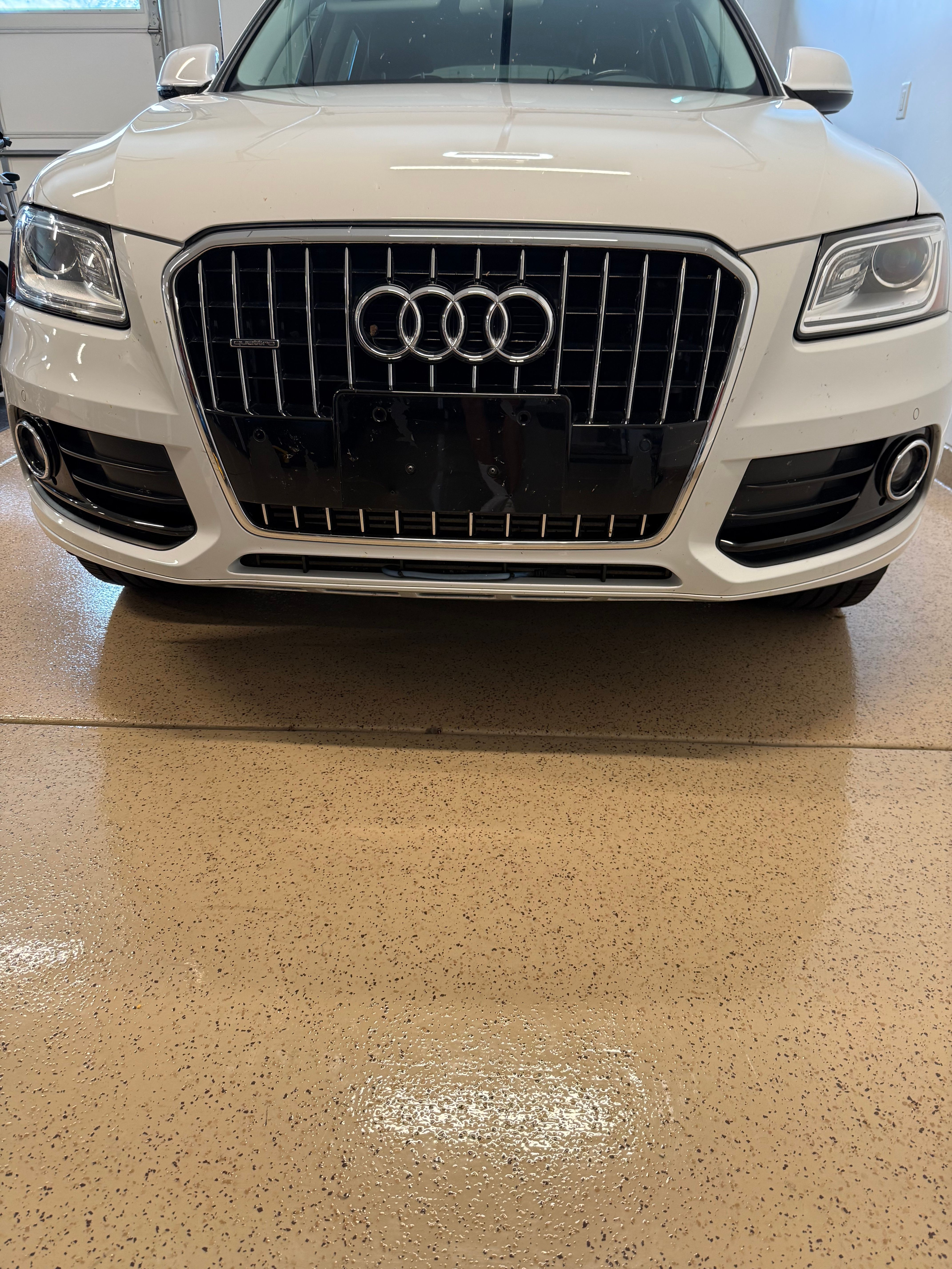 Used 2015 Audi Q5 TDI Premium Plus AWD/4WD image 2