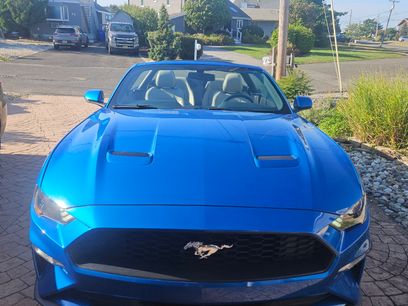 Used 2019 Ford Mustang Premium w/ Ecoboost Performance Package