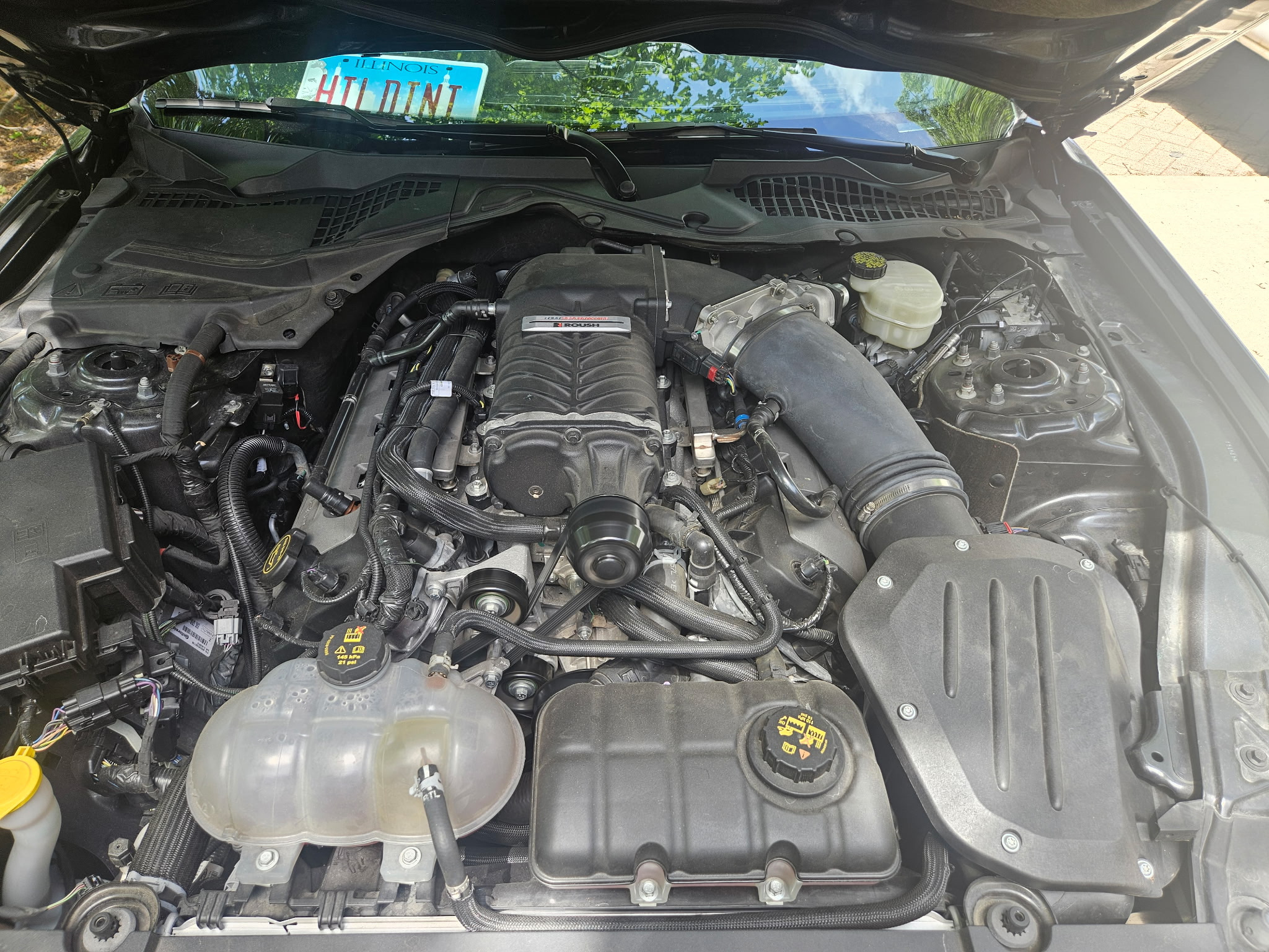 Used 2017 Ford Mustang GT Premium w/ Equipment Group 401A RWD image 8