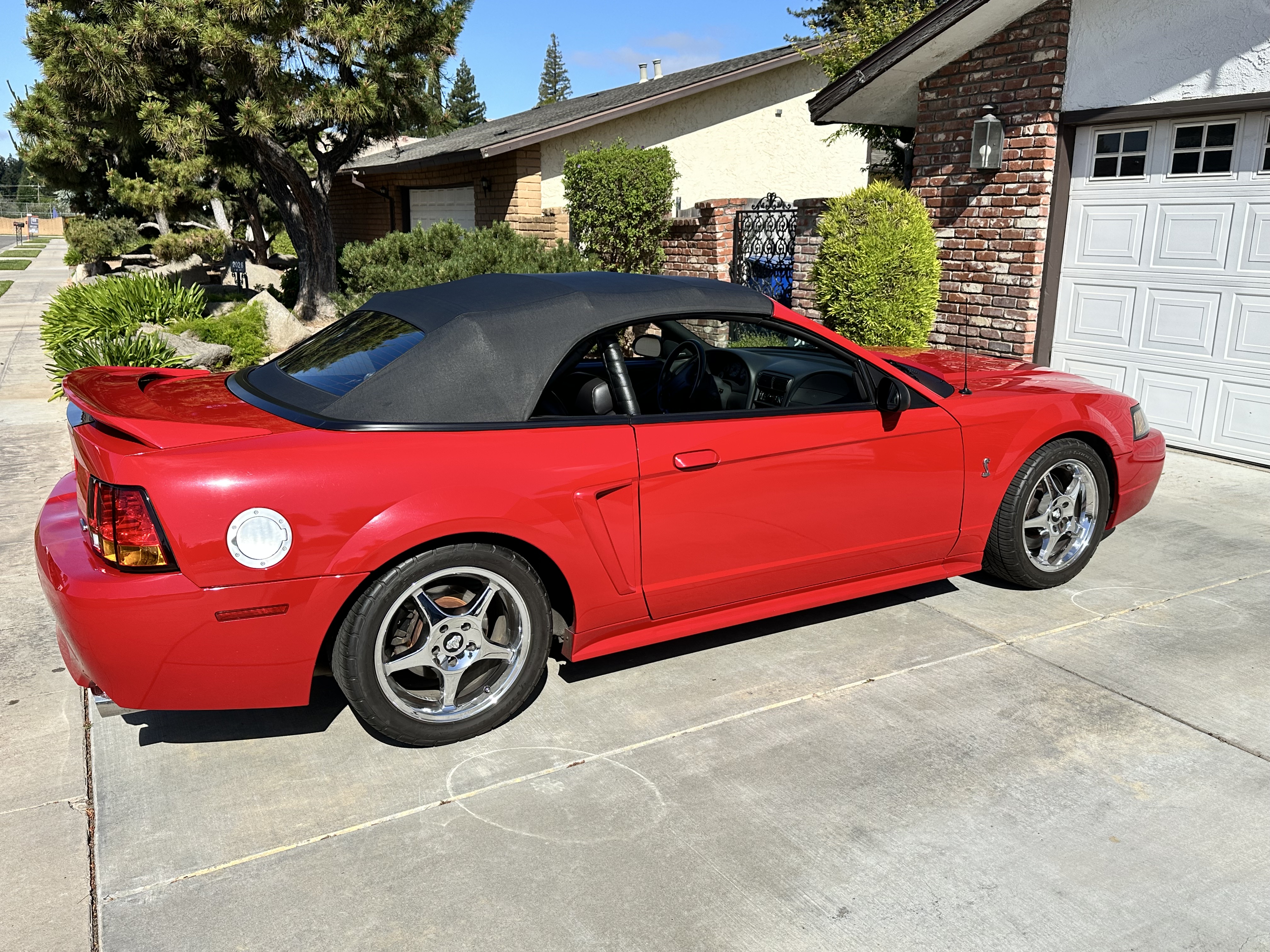 Used 1999 Ford Mustang Cobra RWD image 4