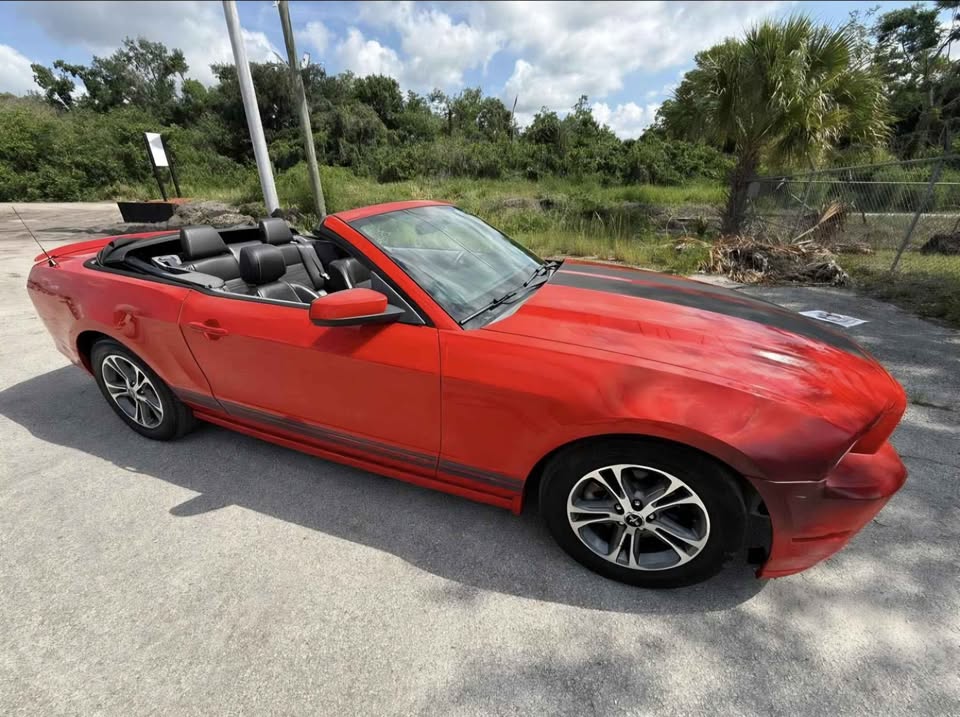 Used 2014 Ford Mustang Premium w/ Equipment Group 201A RWD image 4