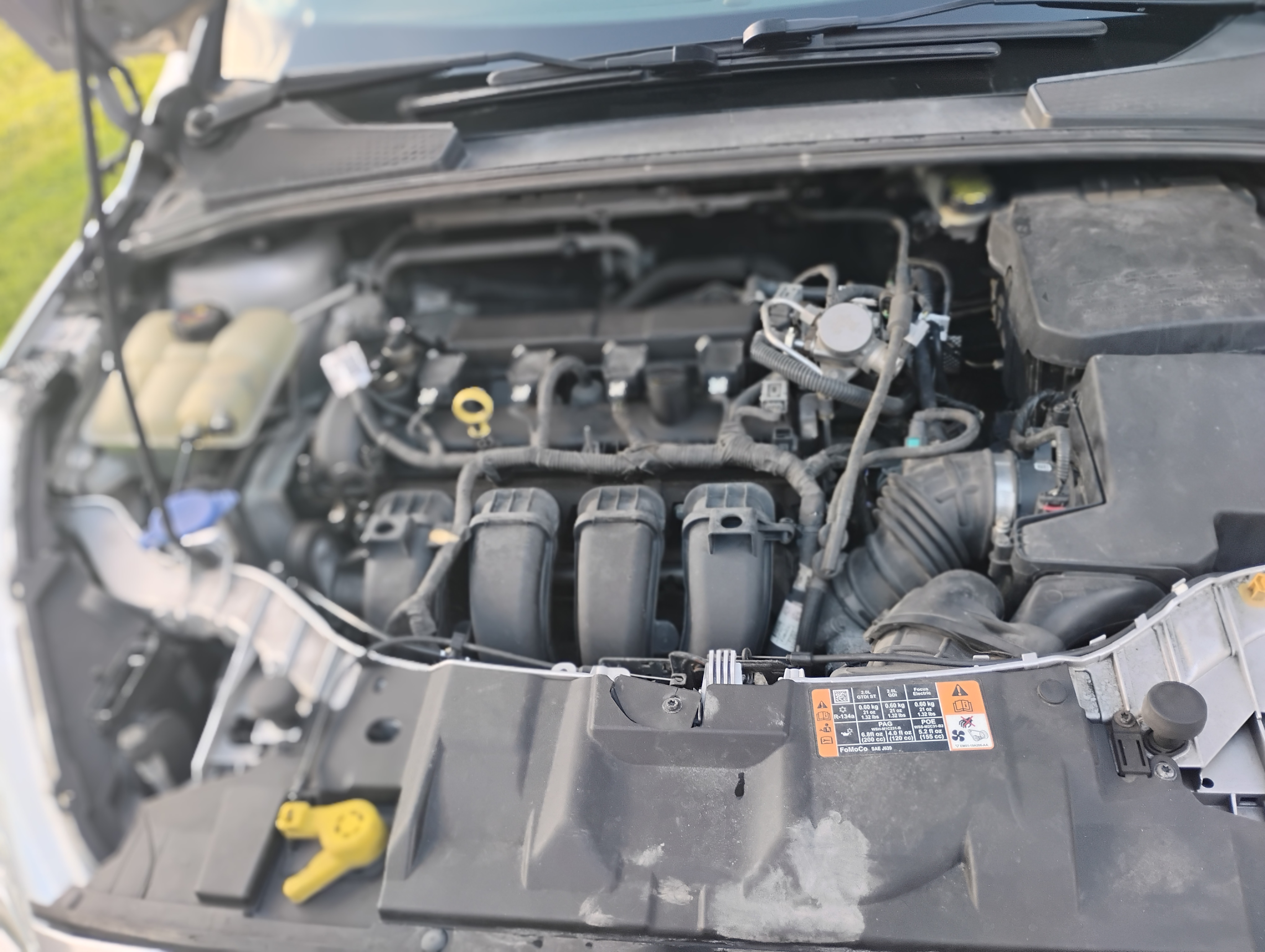 Used 2016 Ford Focus SE FWD image 14